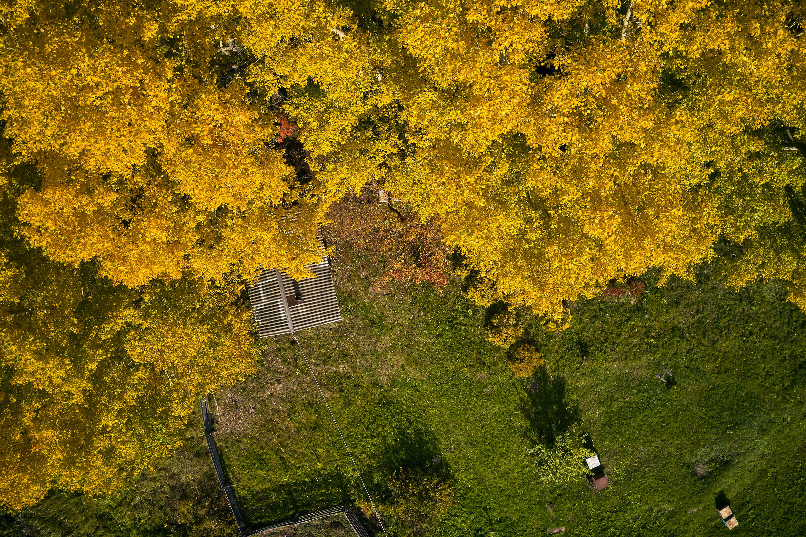 Съемка в полете. DMITRY MOISEENKO — фотограф, художник, топ-стилист