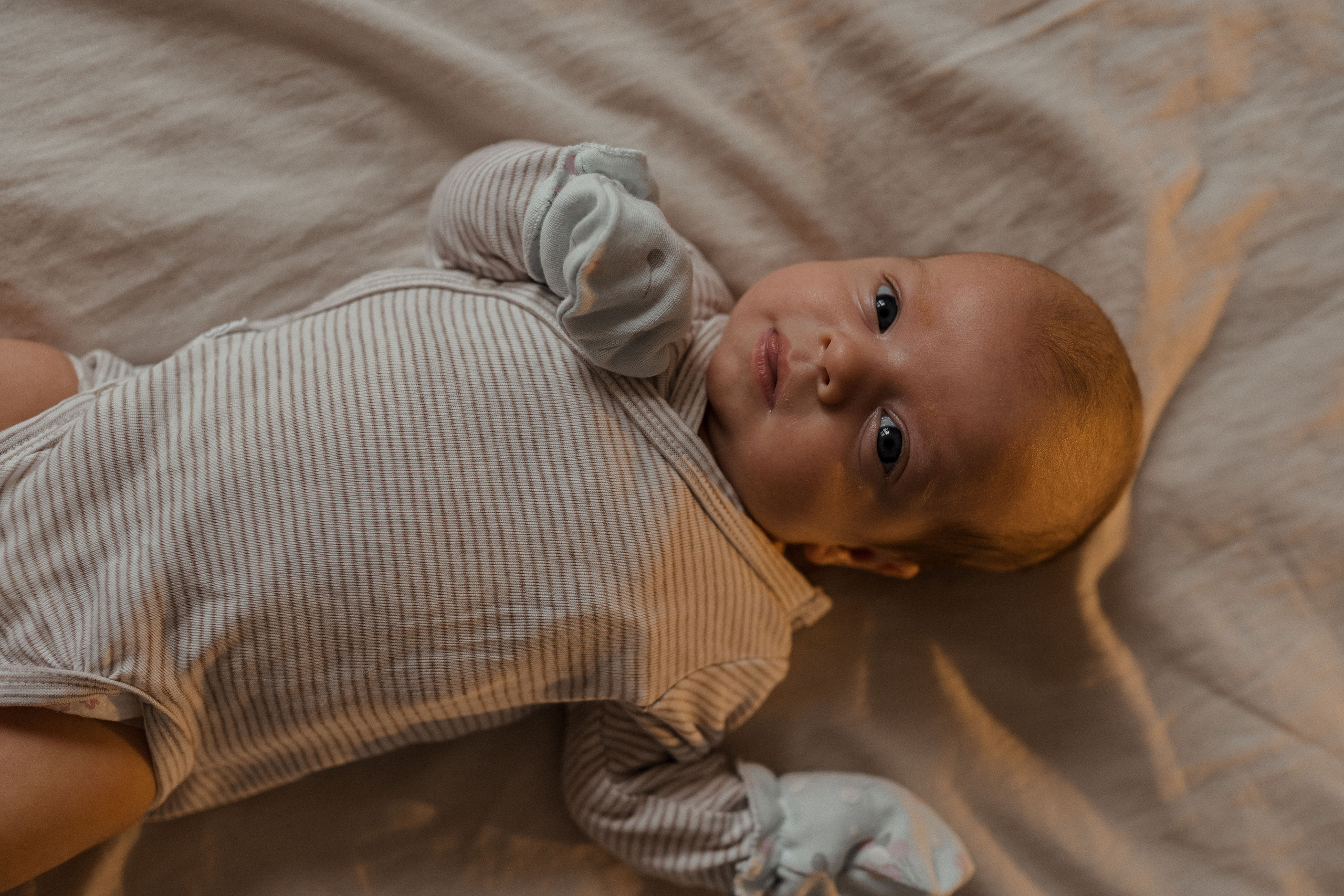 Семейная фотосессия в Москве, семейный фотограф Анна Полушина. Свадебный фотограф в Москве Анна Полушина