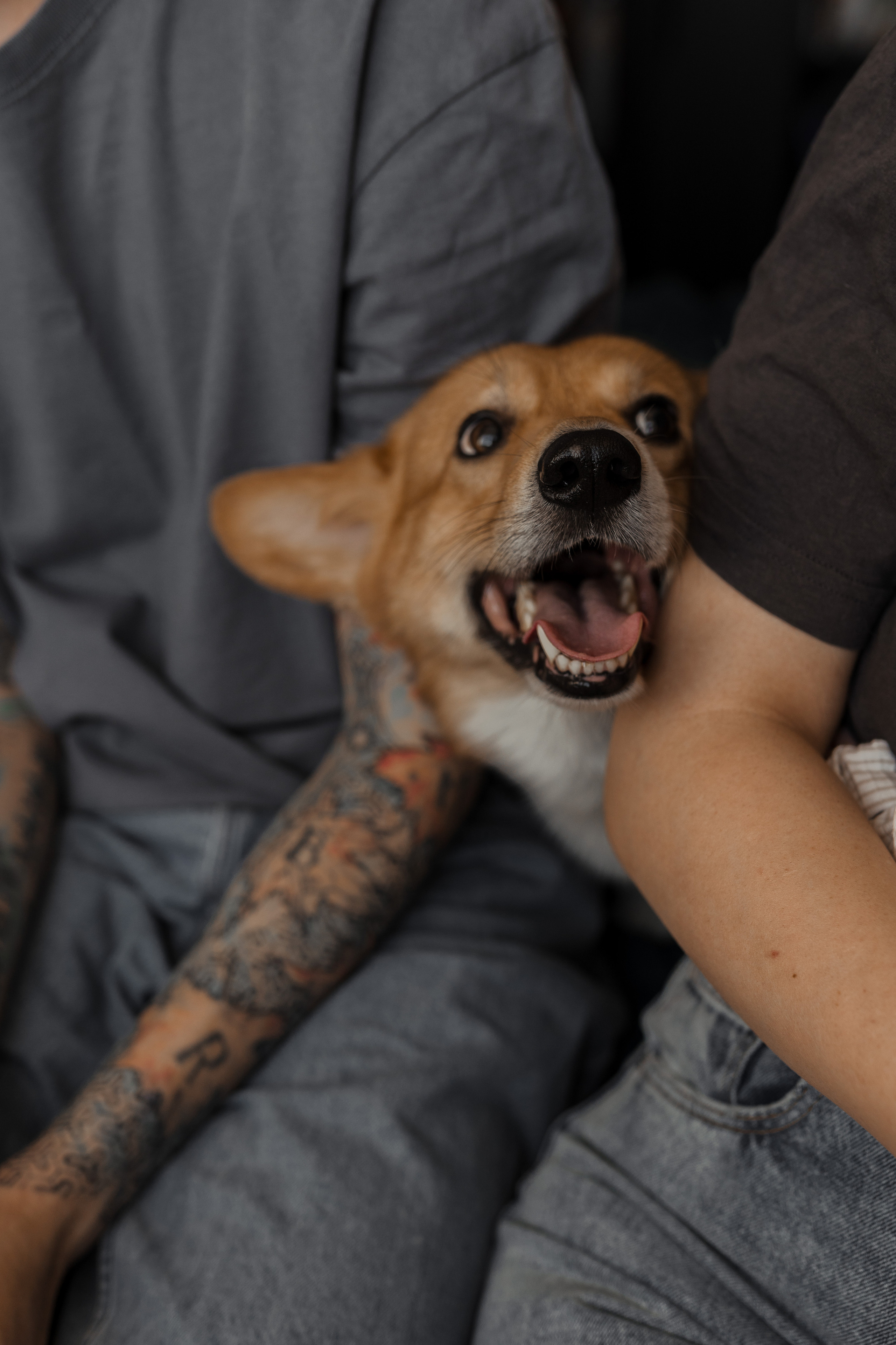 Семейная фотосессия в Москве, семейный фотограф Анна Полушина. Свадебный фотограф в Москве Анна Полушина