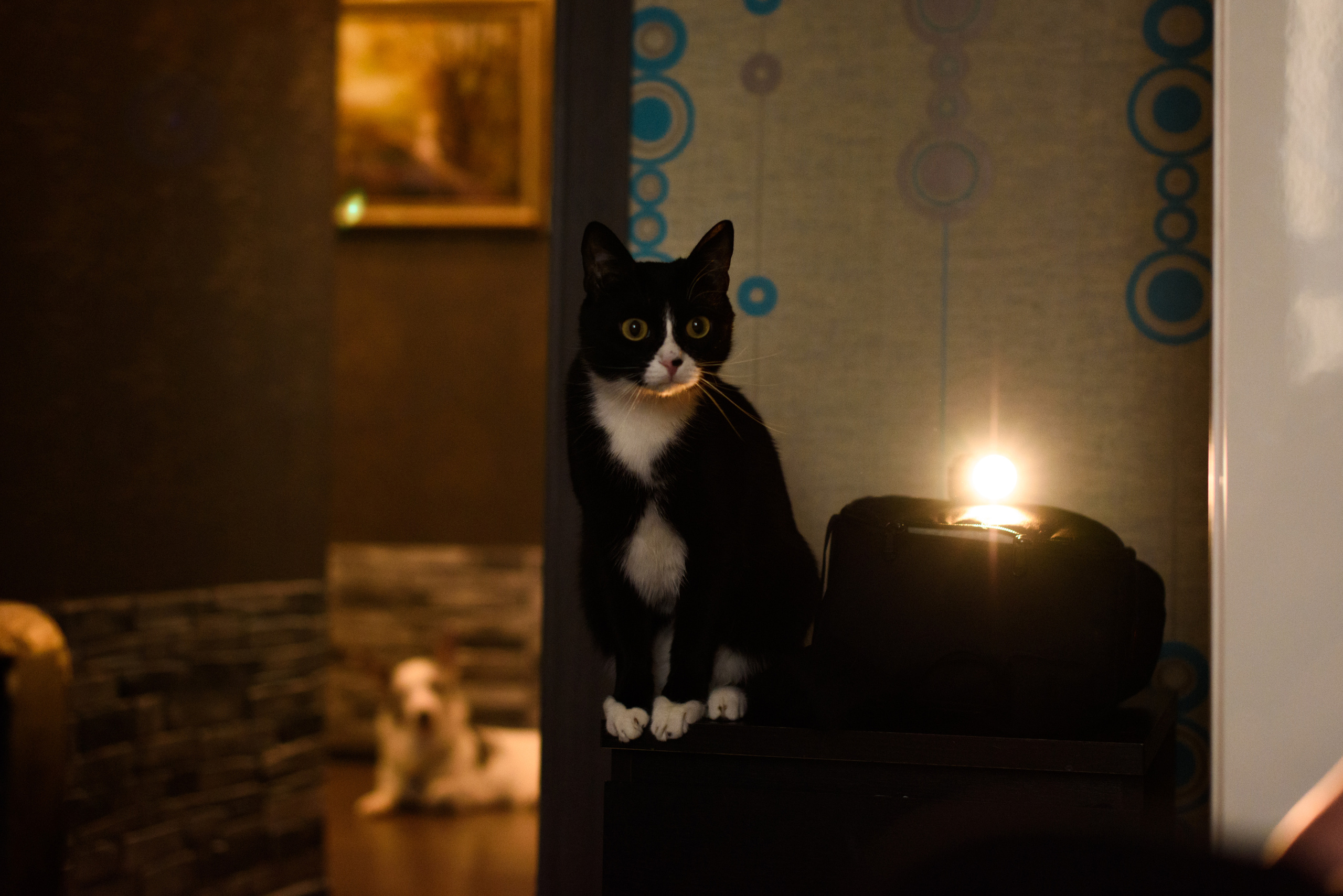 Семейная фотосессия в Москве, семейный фотограф Анна Полушина. Свадебный фотограф в Москве Анна Полушина