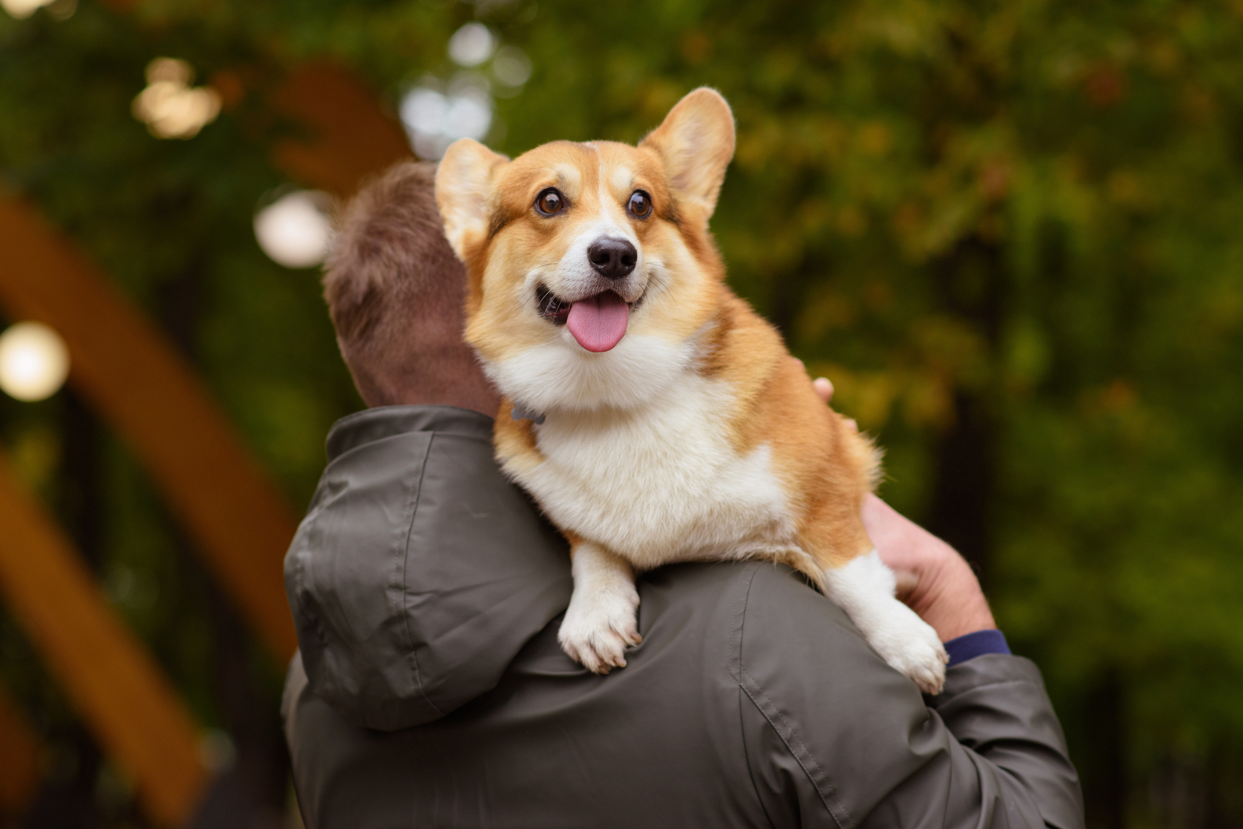 Семейная фотосессия в студии в Москве, семейный фотограф Анна Полушина. Свадебный фотограф в Москве Анна Полушина