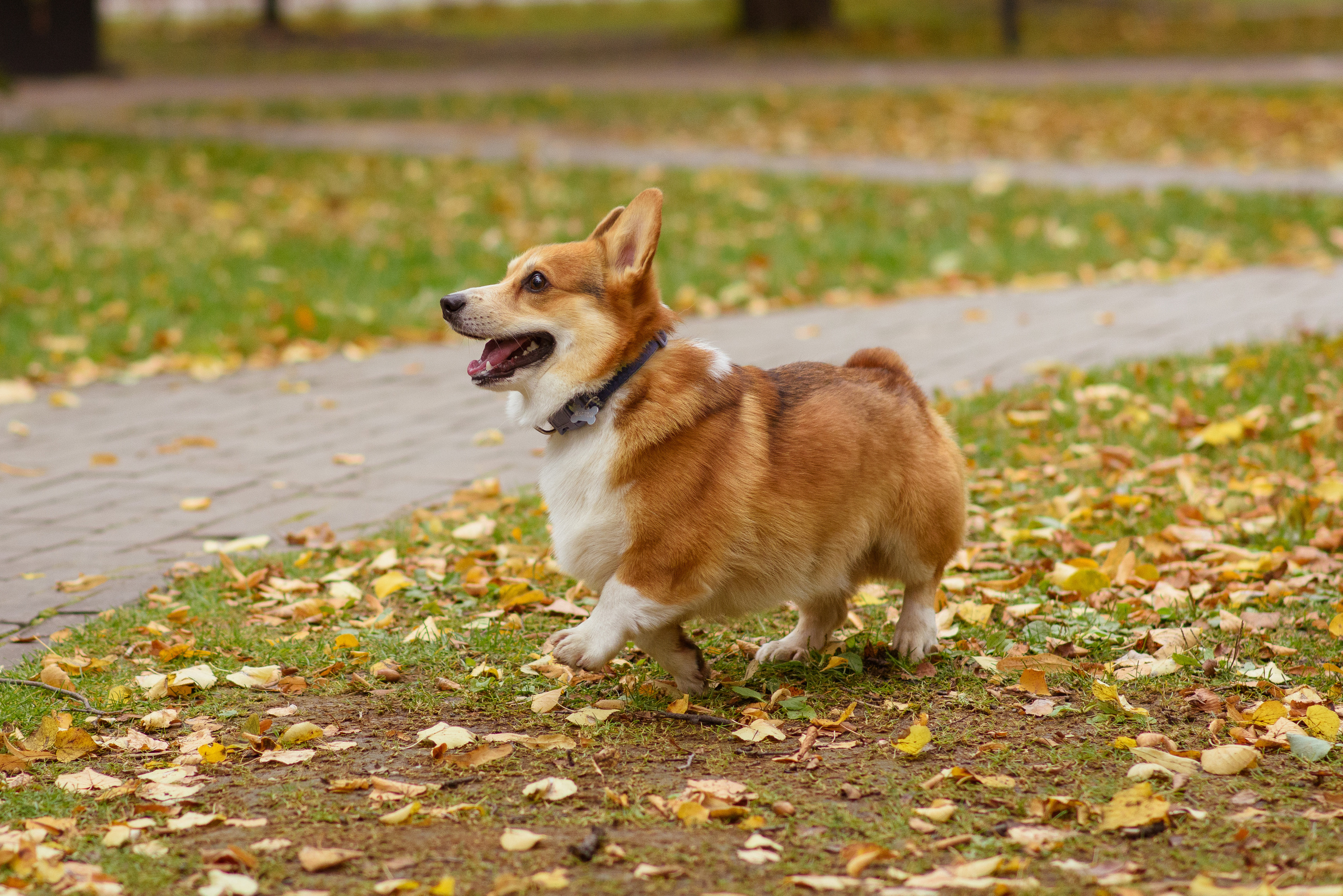 Семейная фотосессия в студии в Москве, семейный фотограф Анна Полушина. Свадебный фотограф в Москве Анна Полушина