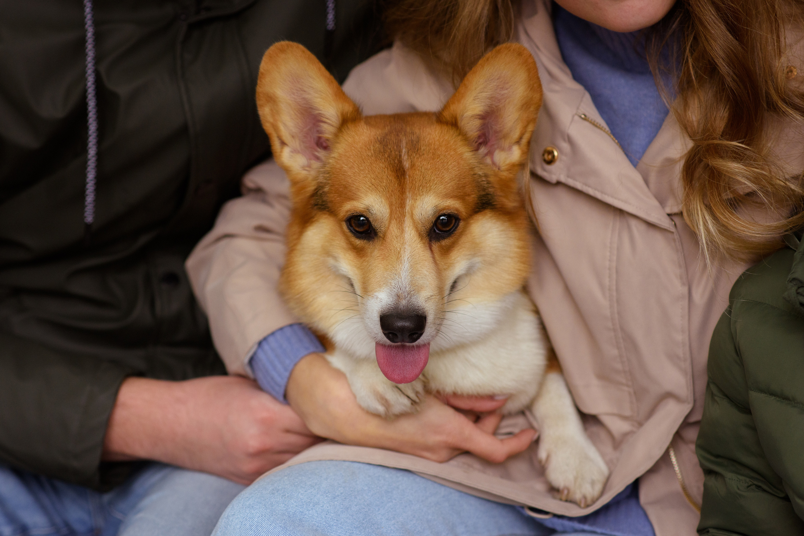 Семейная фотосессия в студии в Москве, семейный фотограф Анна Полушина. Свадебный фотограф в Москве Анна Полушина