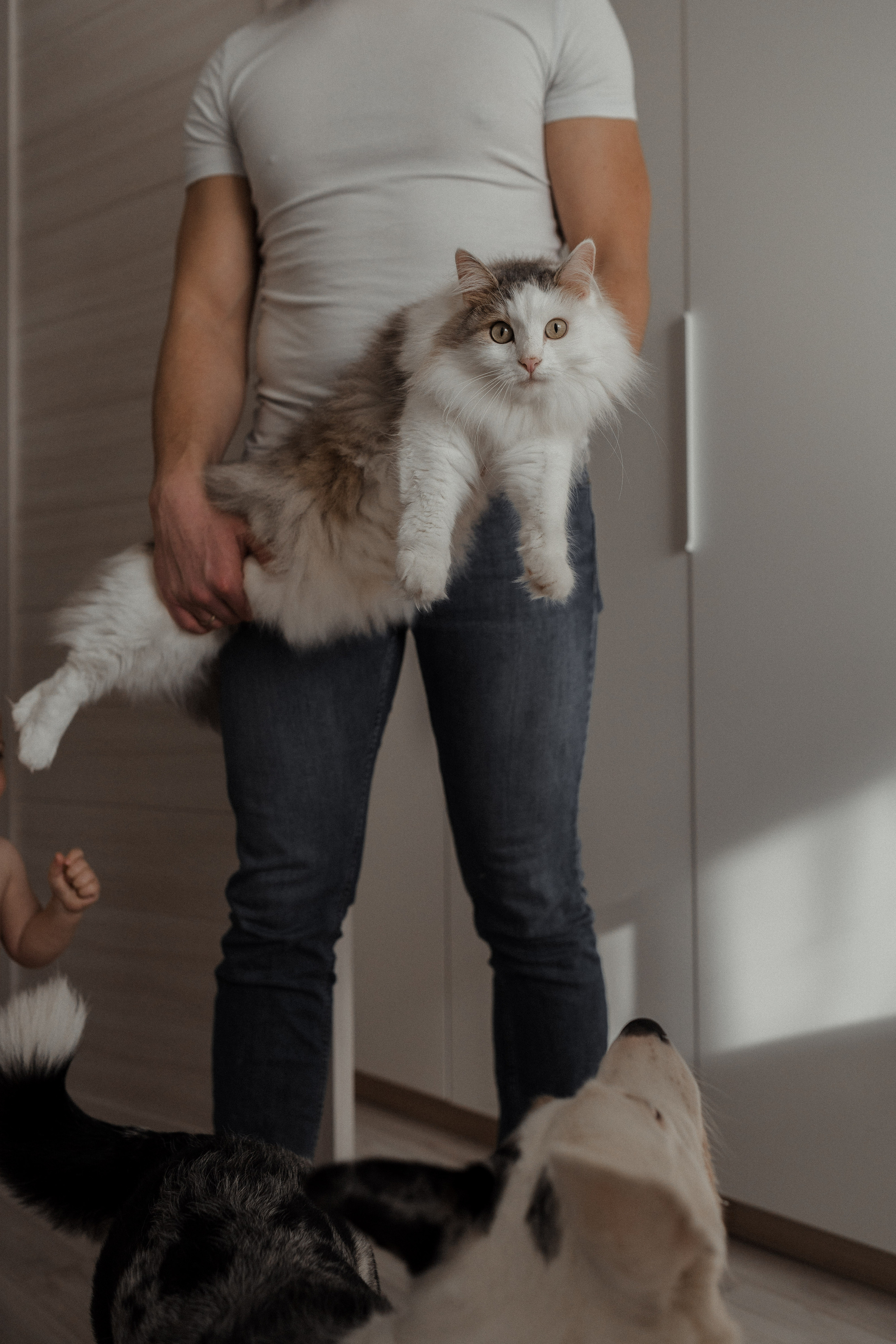 Семейная фотосессия в Москве, семейный фотограф Анна Полушина. Свадебный фотограф в Москве Анна Полушина