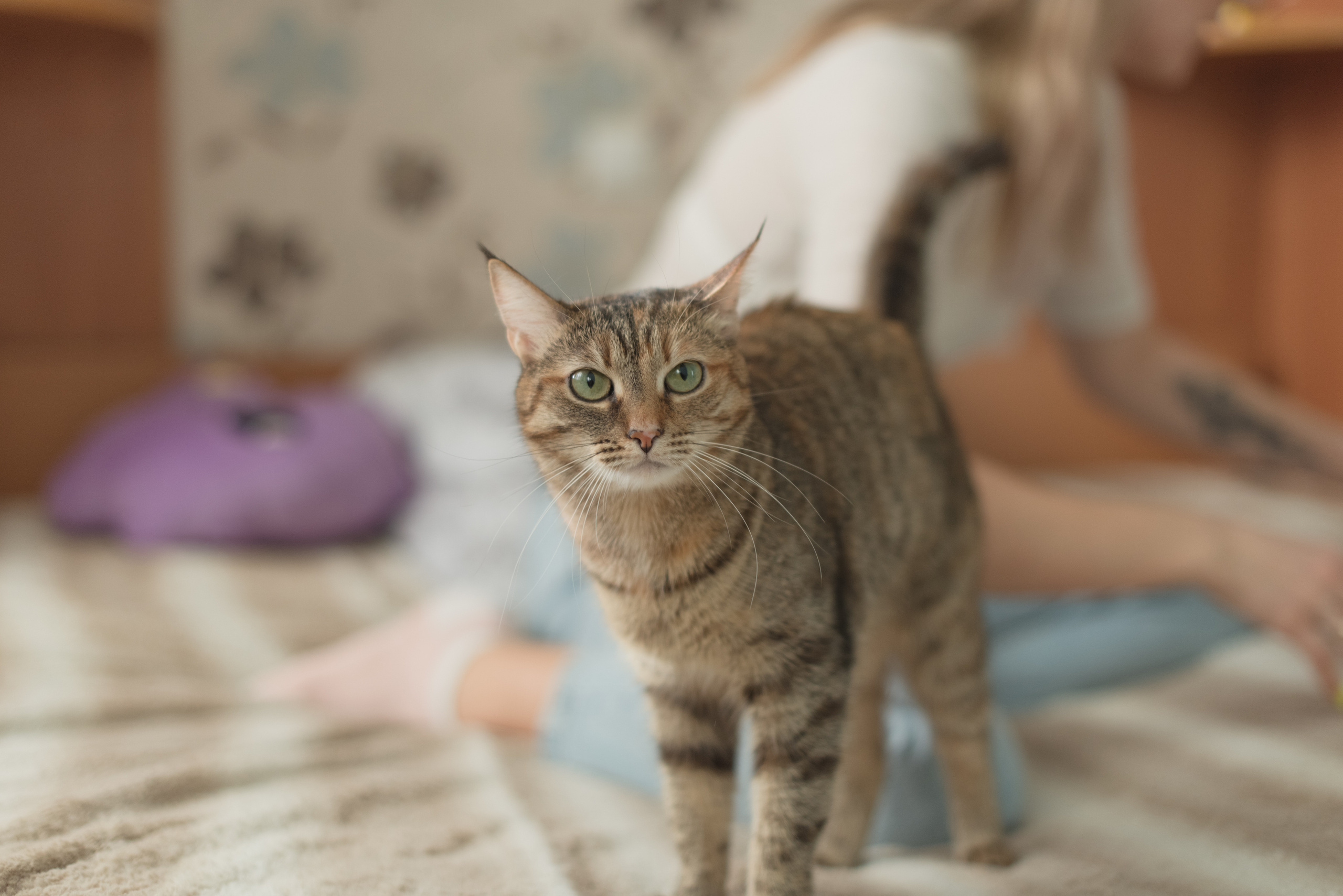 Семейная фотосессия в Москве, семейный фотограф Анна Полушина. Свадебный фотограф в Москве Анна Полушина