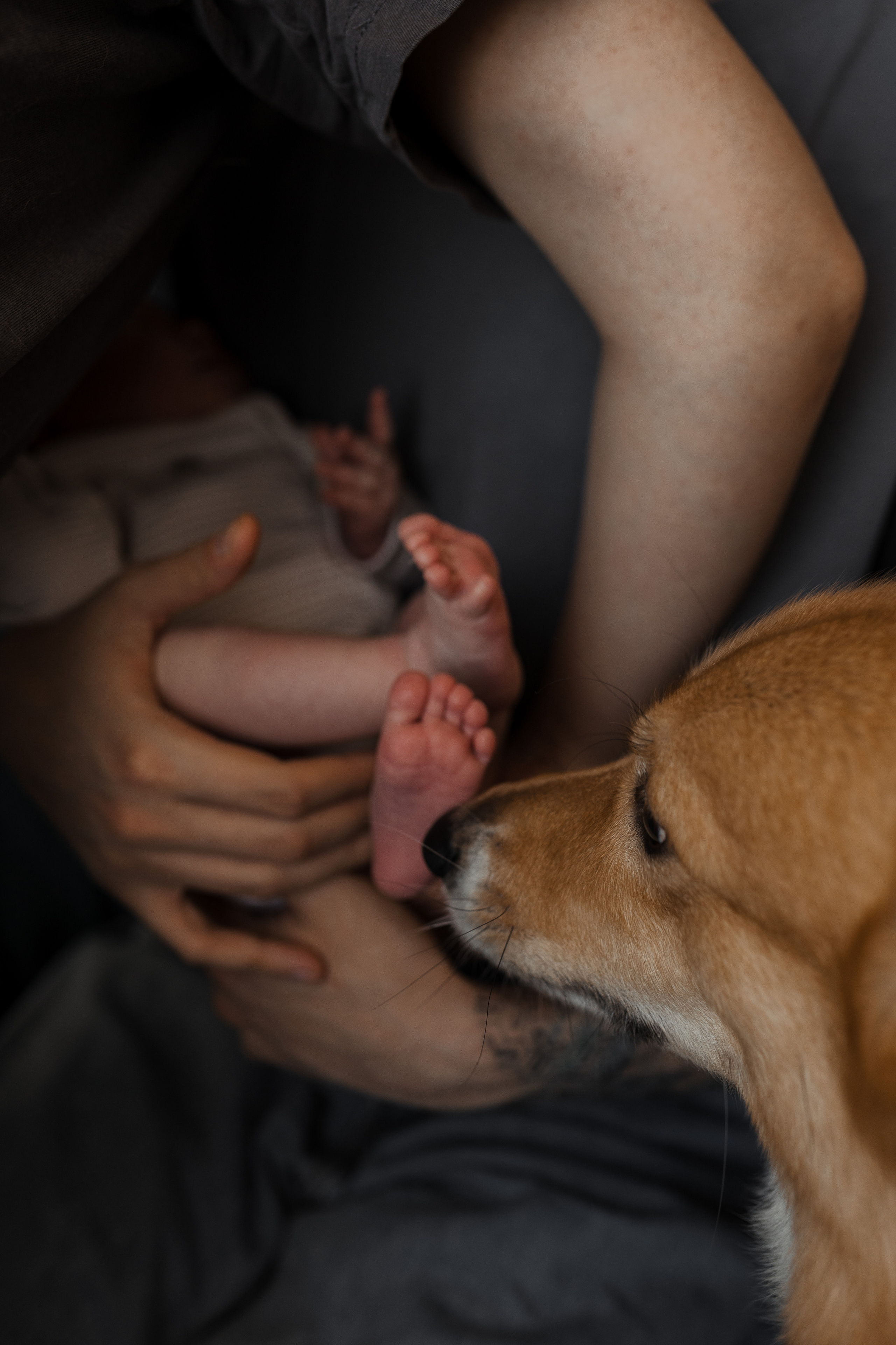 Семейная фотосессия в Москве, семейный фотограф Анна Полушина. Свадебный фотограф в Москве Анна Полушина