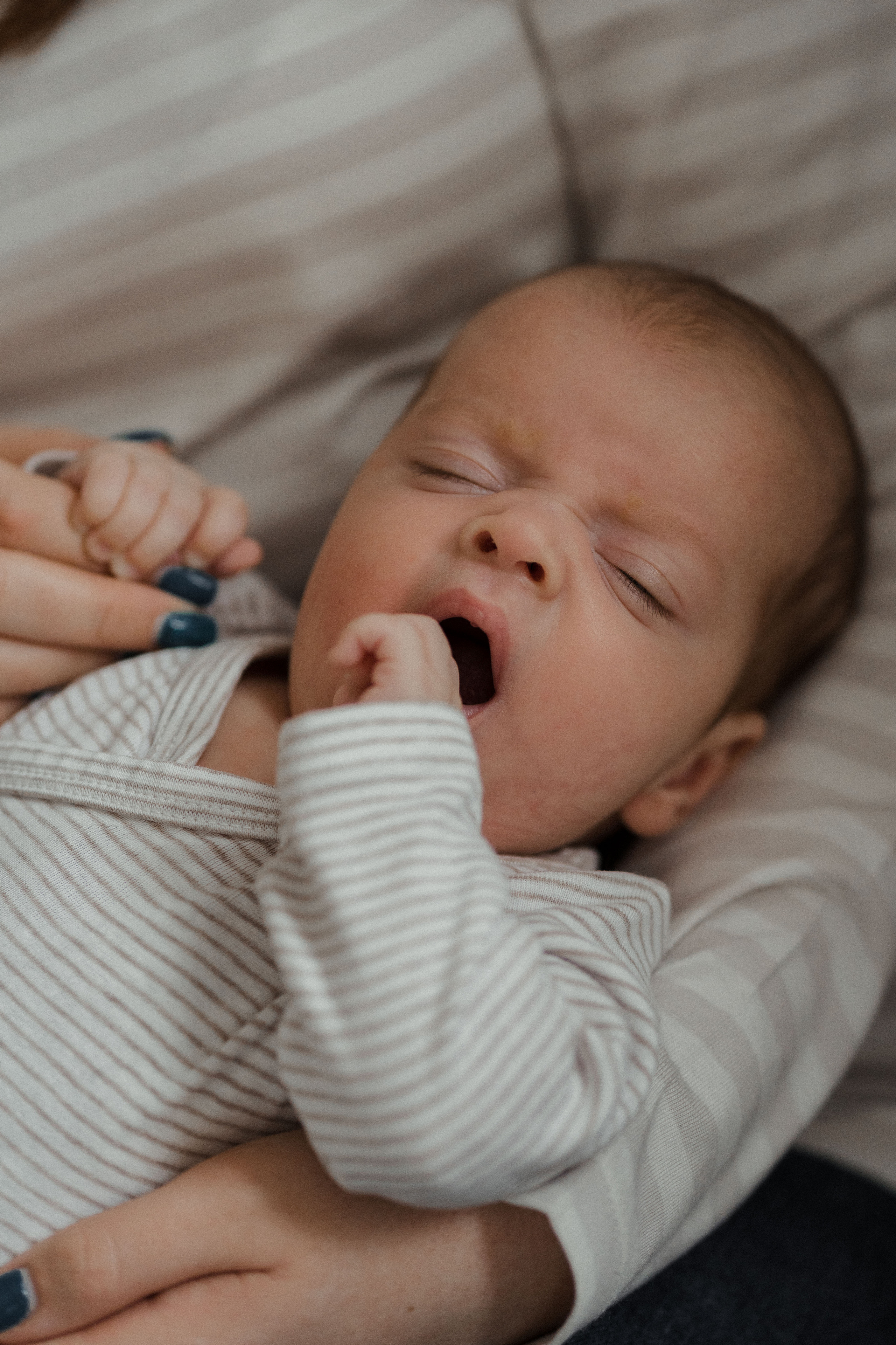 Семейная фотосессия в Москве, семейный фотограф Анна Полушина. Свадебный фотограф в Москве Анна Полушина