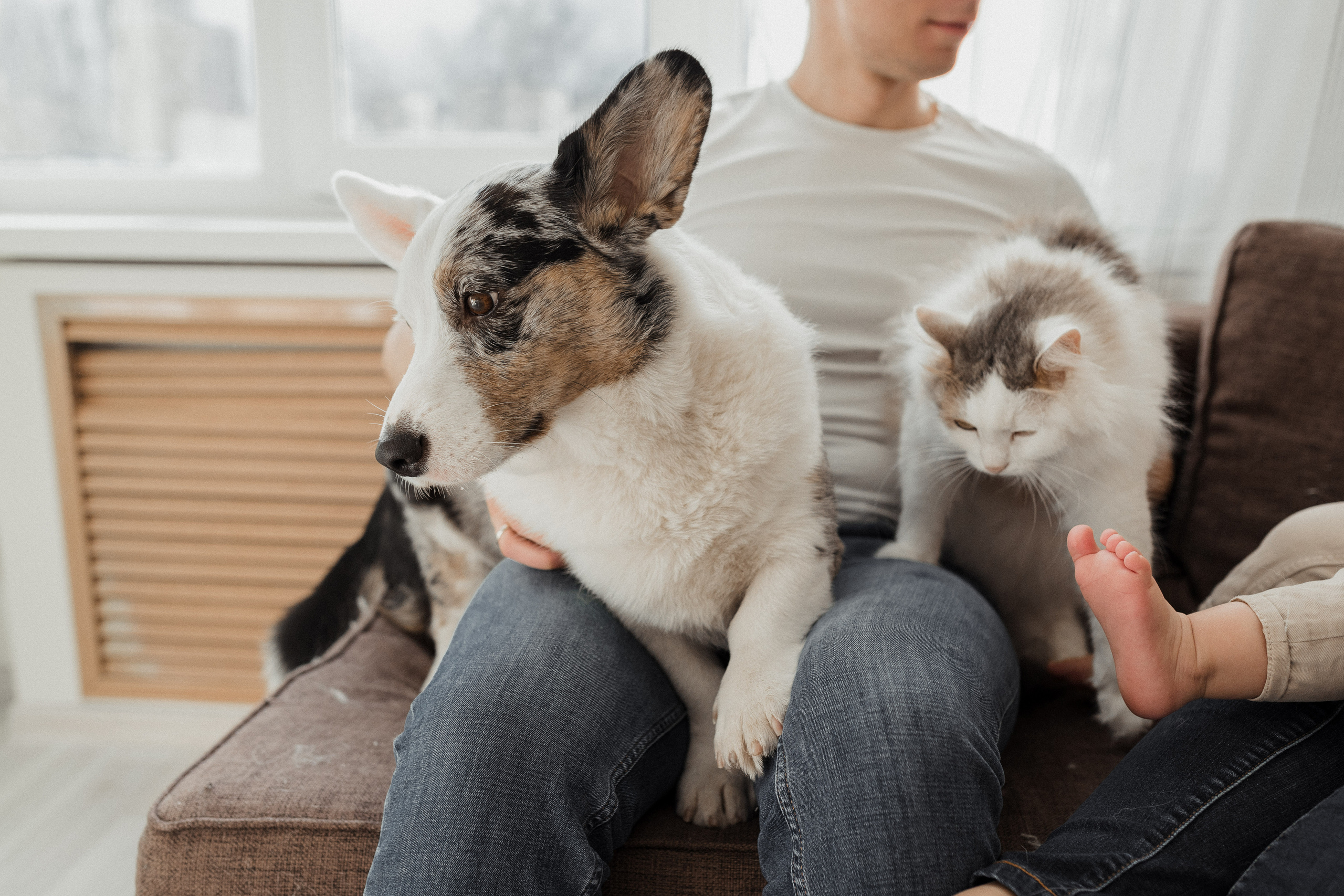 Семейная фотосессия в Москве, семейный фотограф Анна Полушина. Свадебный фотограф в Москве Анна Полушина