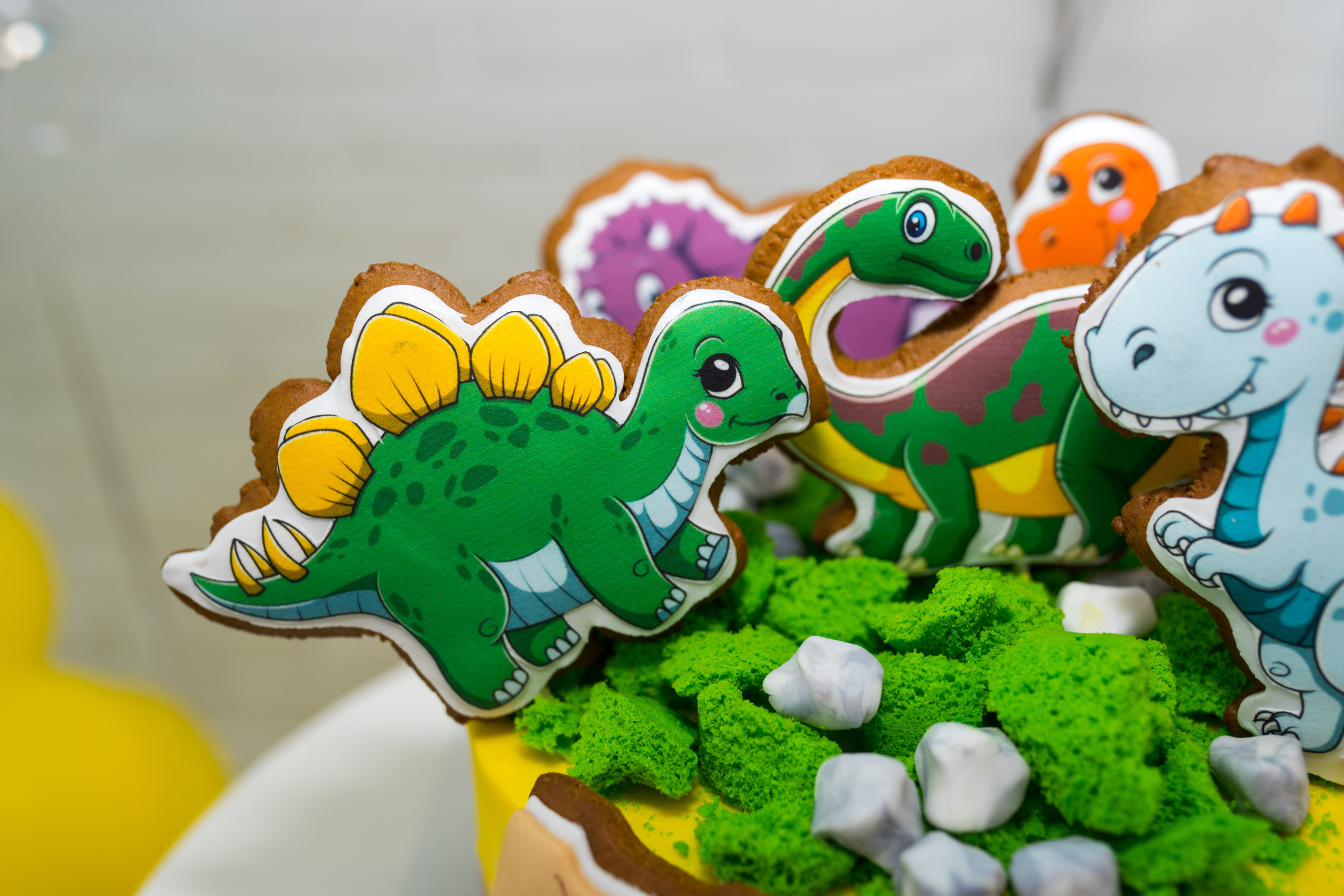 День Рождения Семы. Свадебный фотограф в Москве Анна Полушина