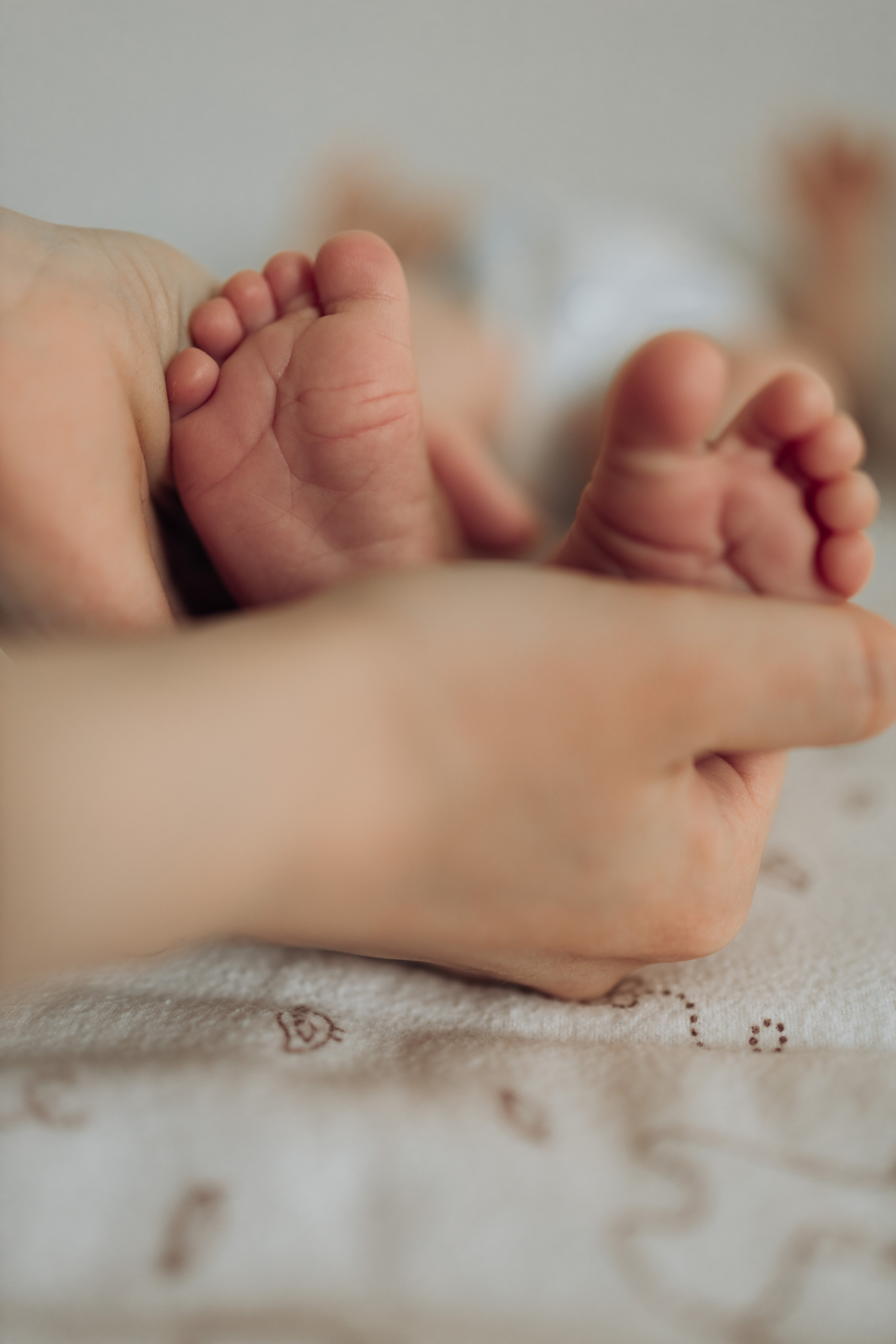 Добро пожаловать!. Женский и свадебный фотограф Москва Елизавета Перова