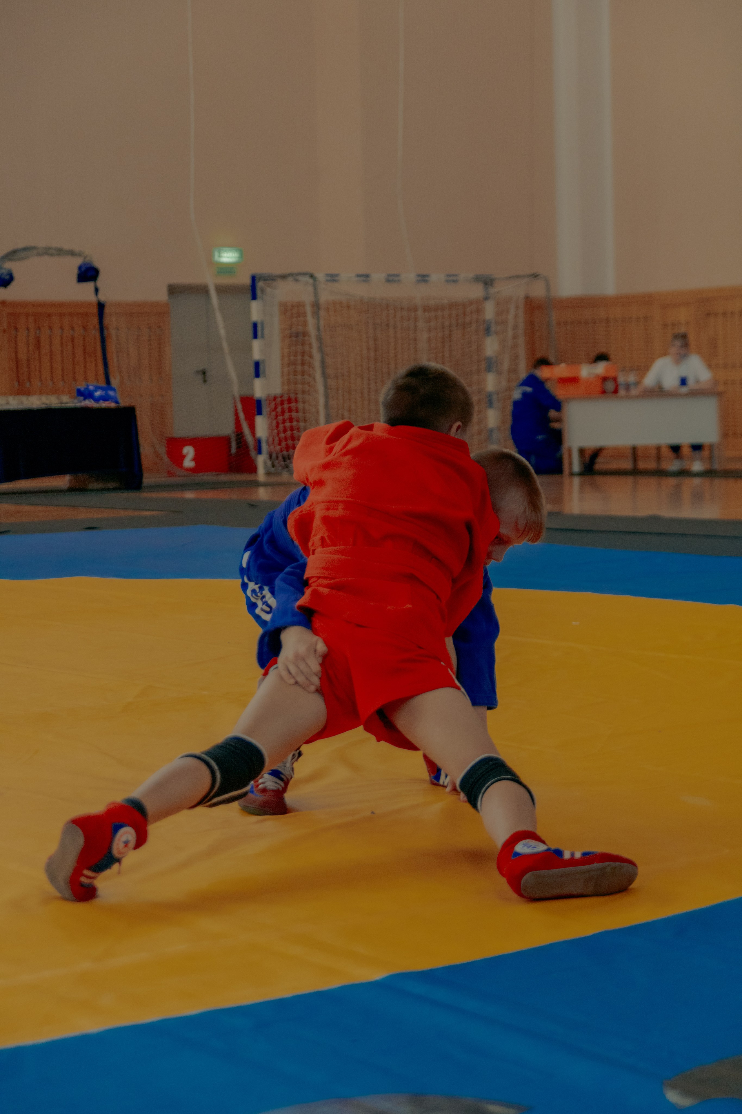 Самбо город Ишим