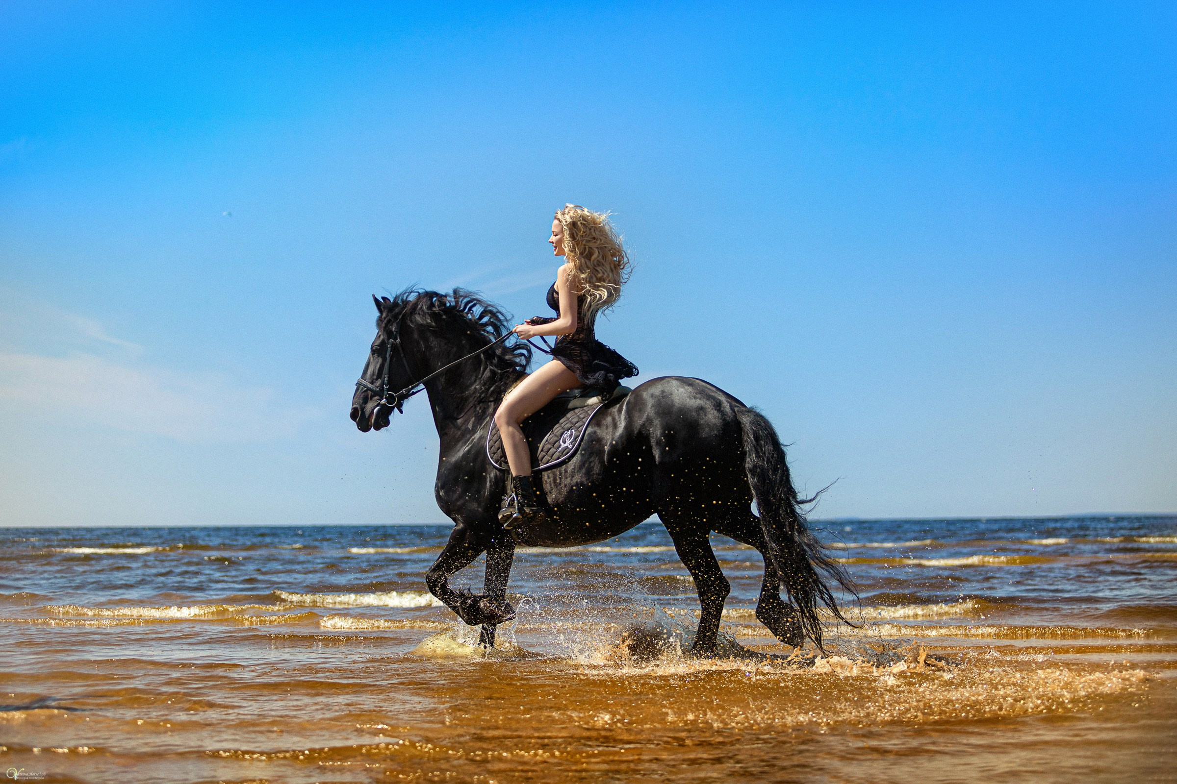 Фотосессии с лошадьми летом. Фотограф женский и мужской портрет Санкт-Петербург