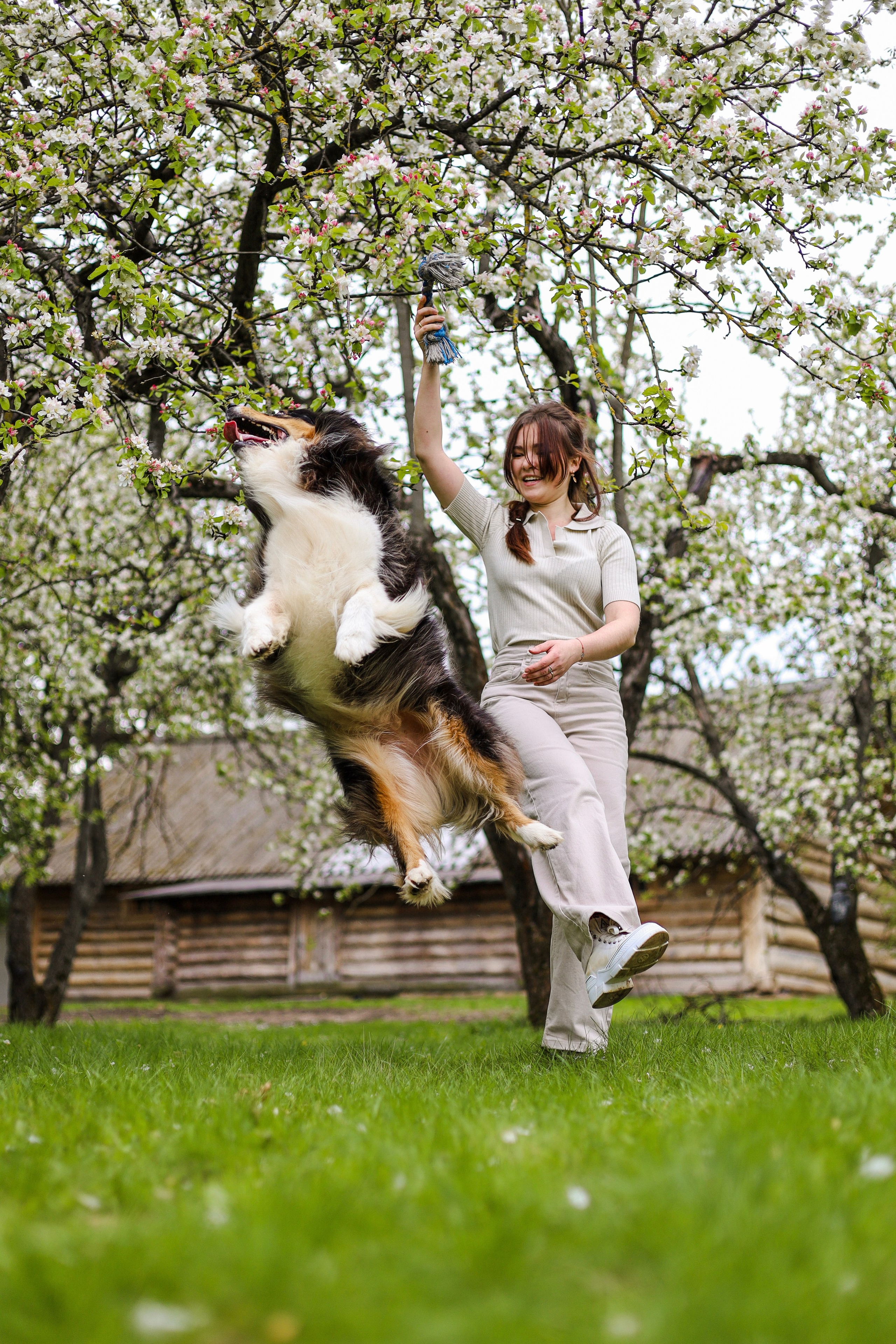 Келли и Света. Фотограф-анималист Ксения Шевцова|Москва