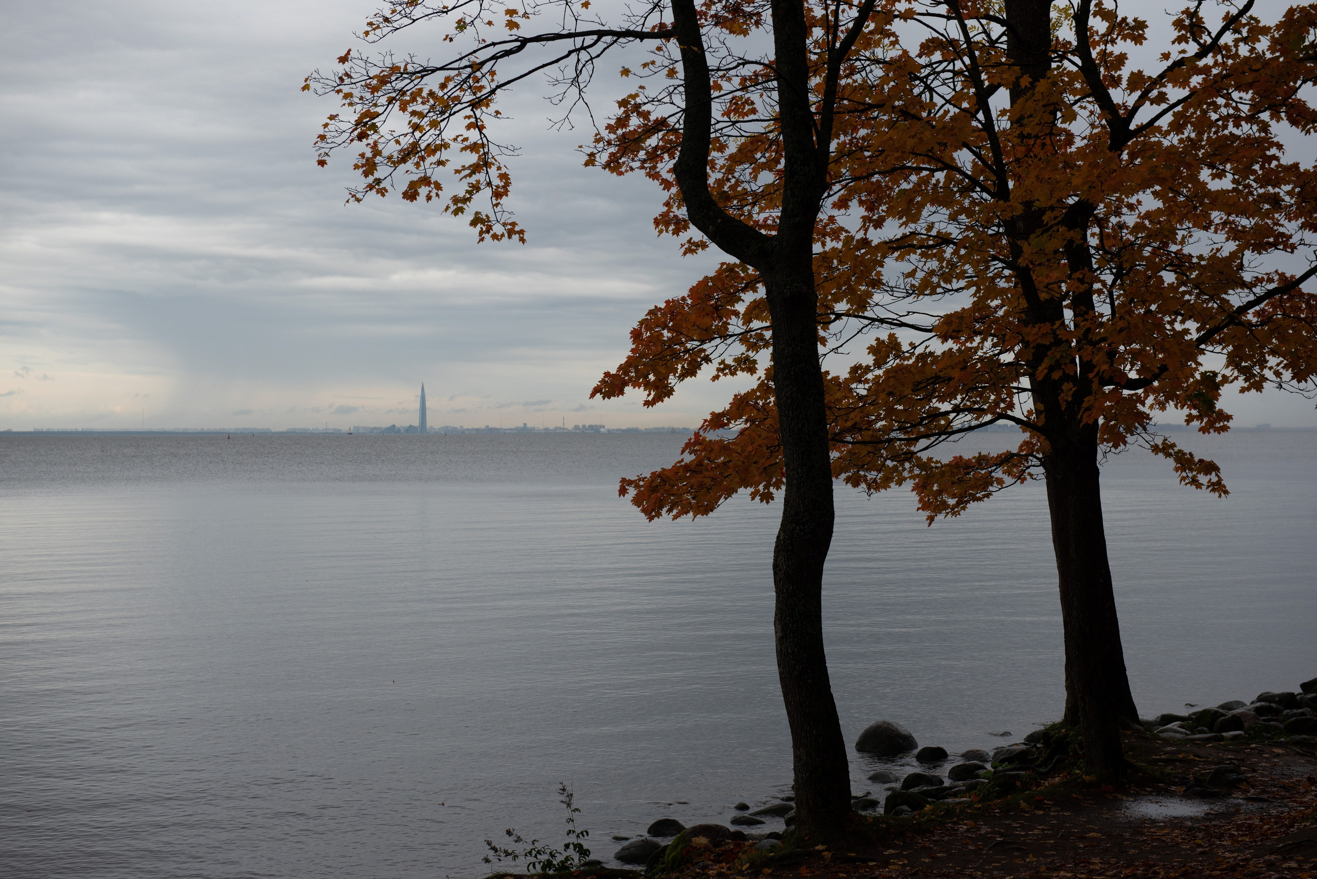 Петергоф. Портретный и архитектурный фотограф в Москве и Санкт-Петербурге