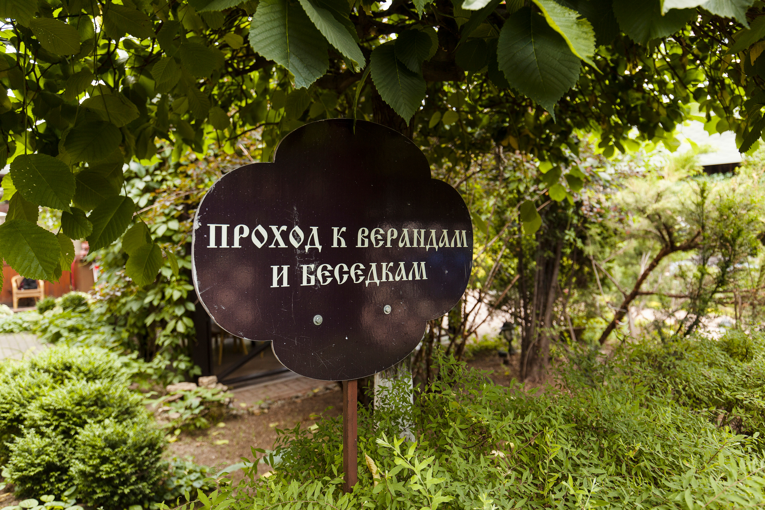 Михаил и Вера. Свадебный и репортажный фотограф Виталий Кислицын