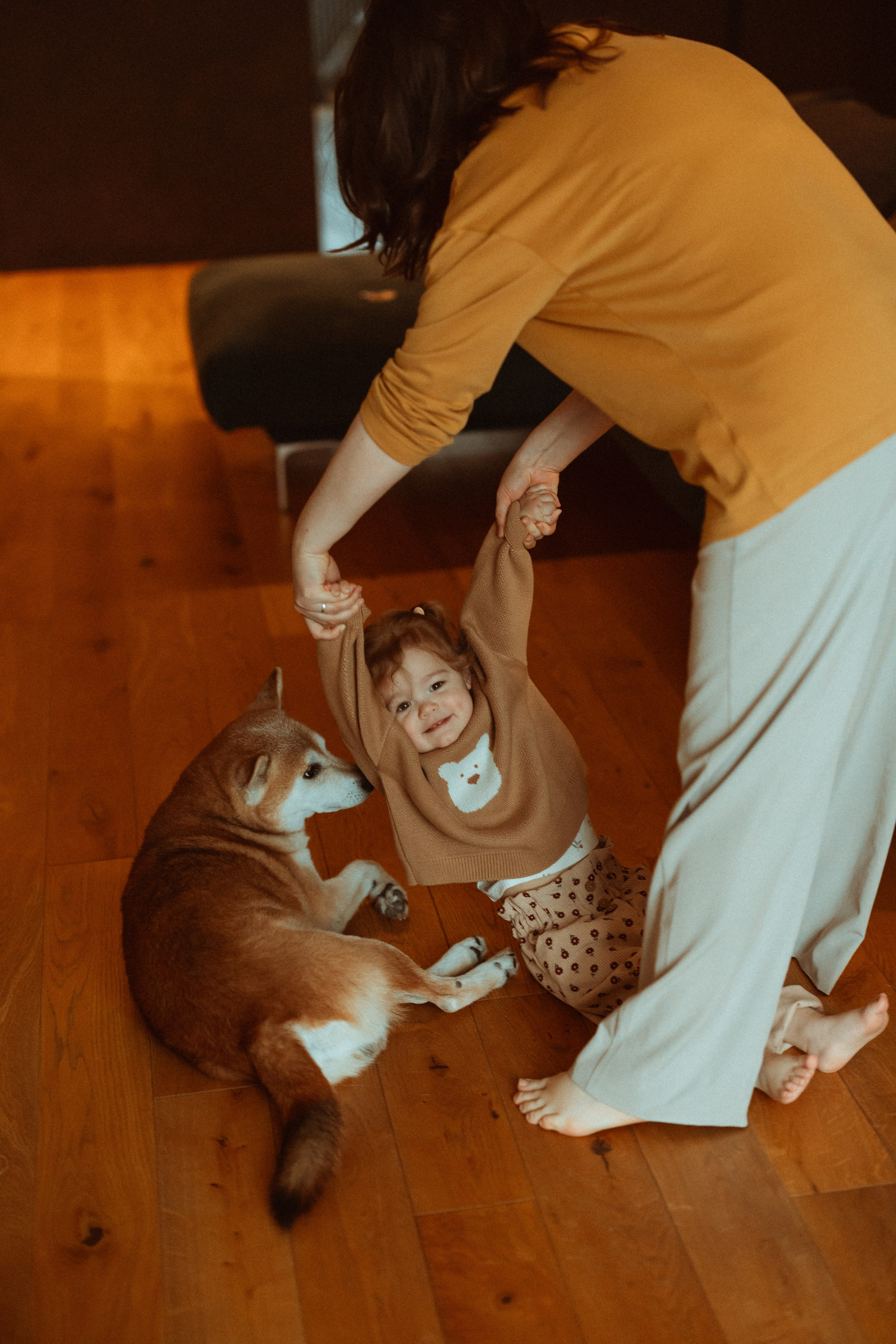 Новогодний переполох. Евгения Пелипас