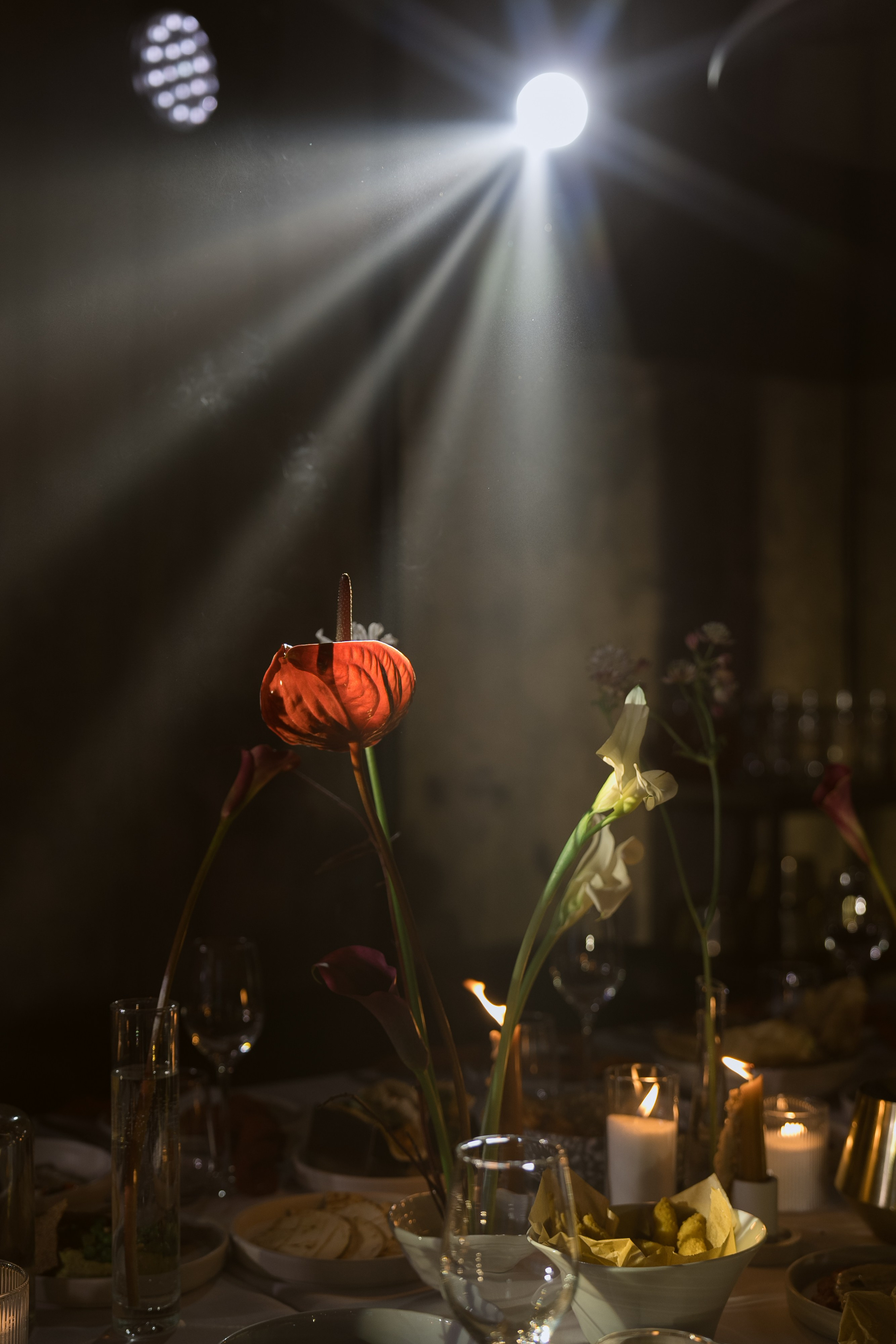 Катя & Миша. Свадебное агентство WedStories agency