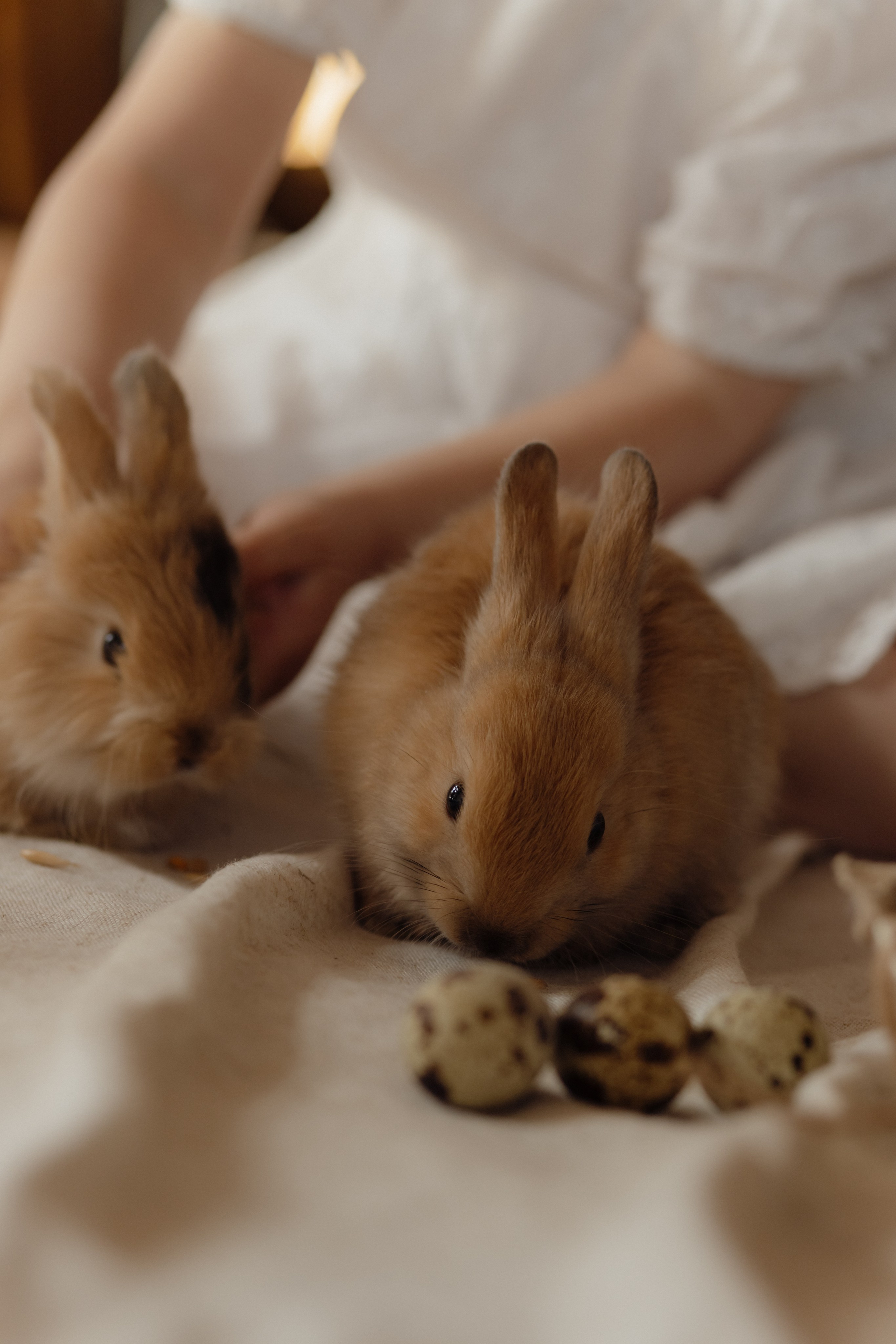 Варвара. Семейный и свадебный фотограф в Челябинске Мария Леонтьева