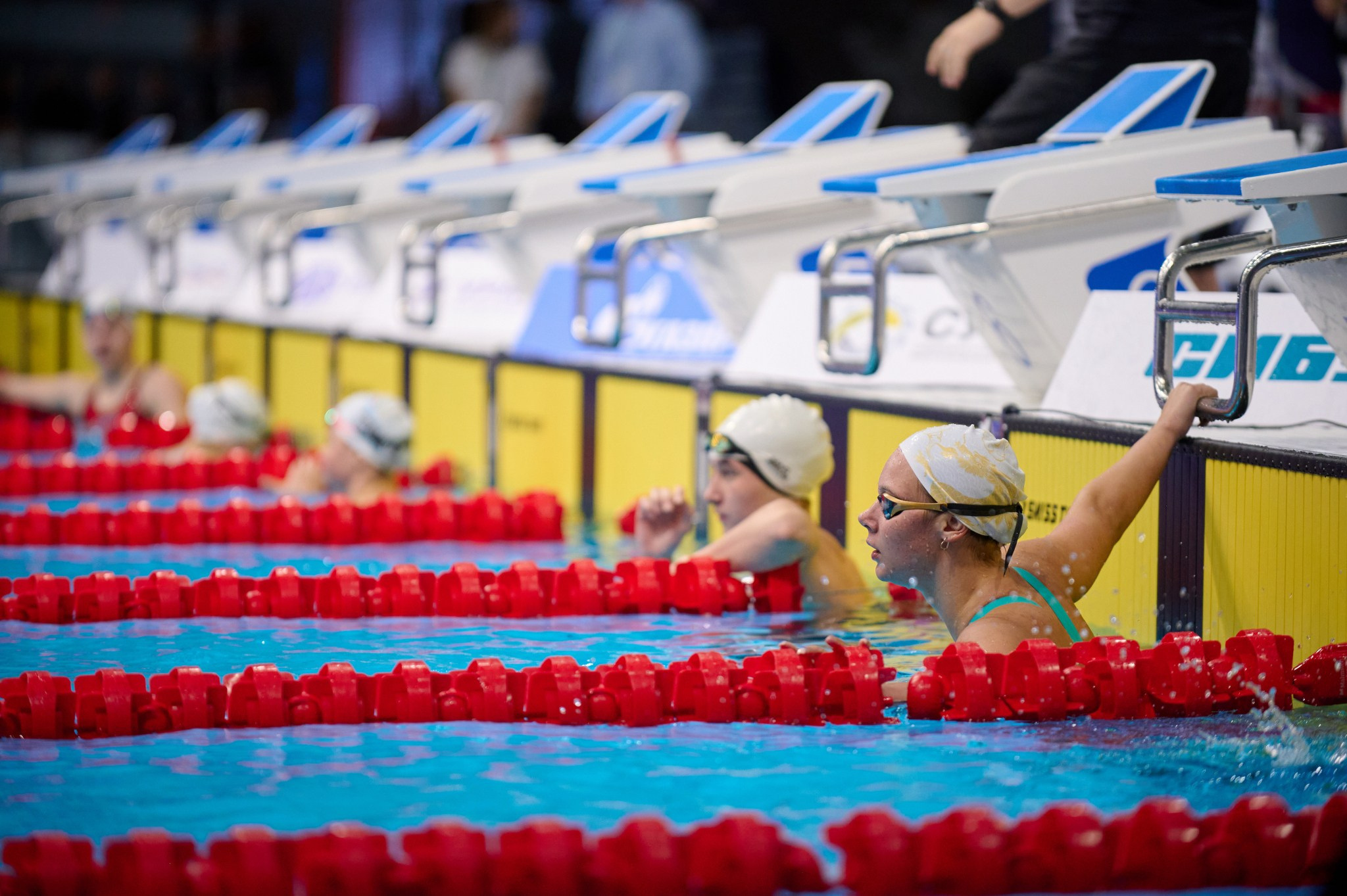 Кубок России по плаванию 2024 г. Екатеринбург. Мезенцев Евгений фотограф