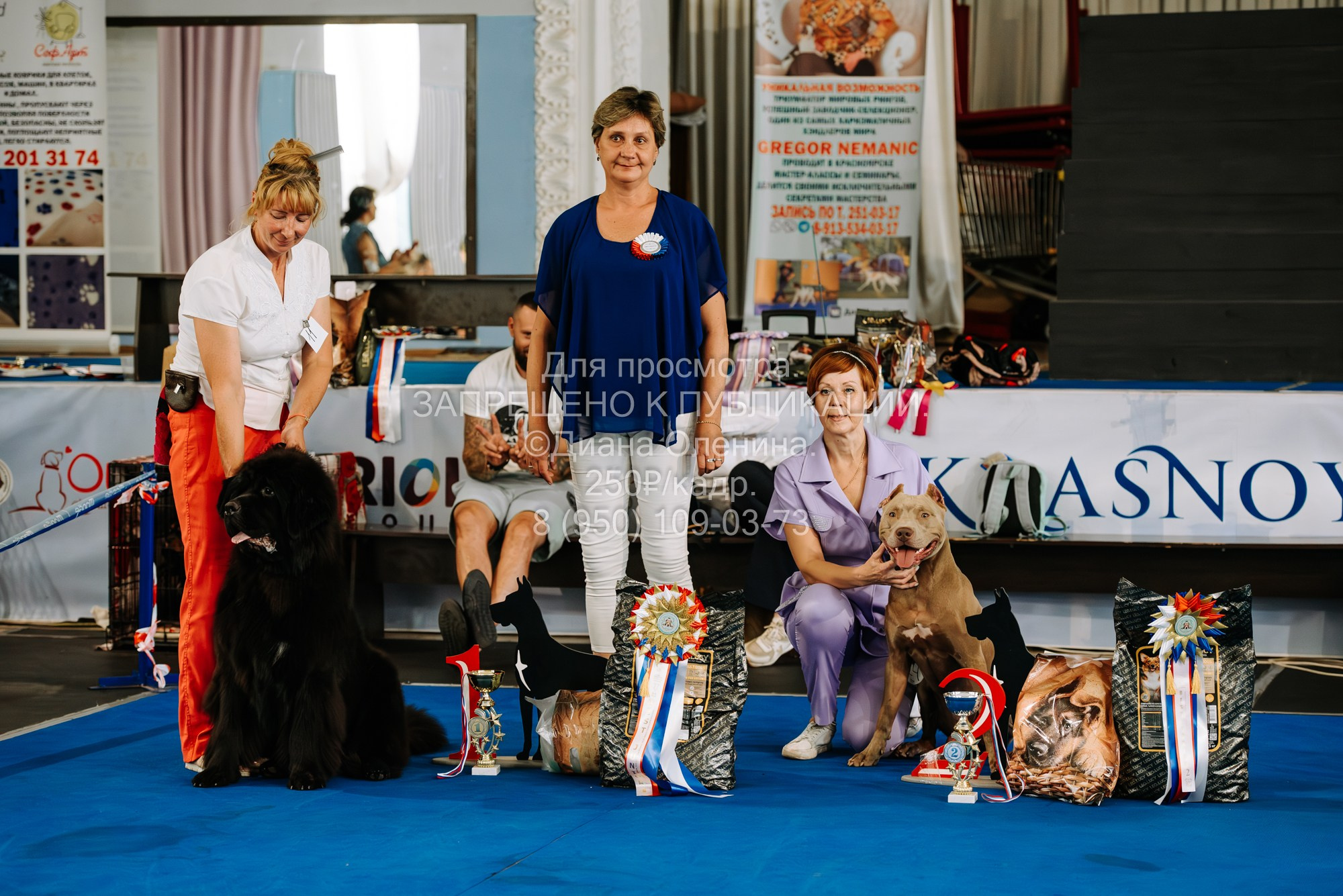 Национальная выставка собак всех пород ранга САС-IKU «Кубок Красноярск. Фотограф Диана Оленина Красноярск / Братск
