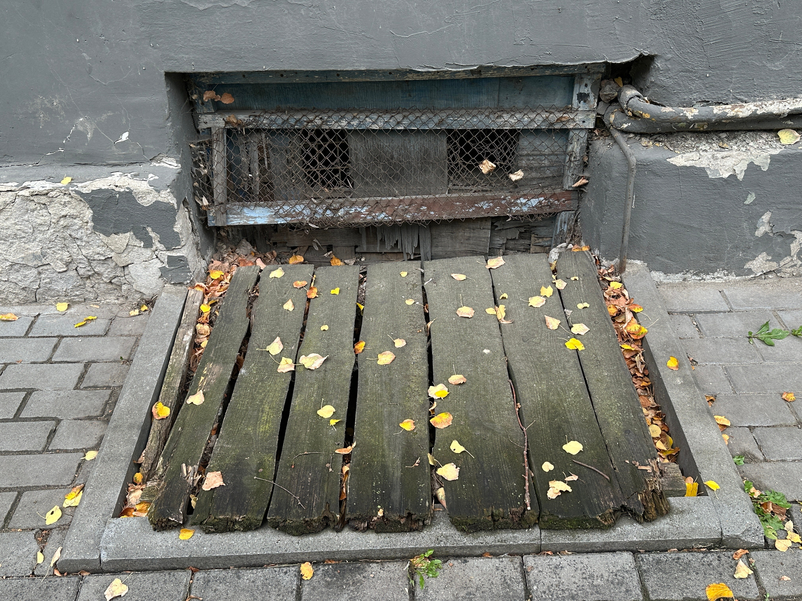 Улица Таранченко. «ФотоСинтез»