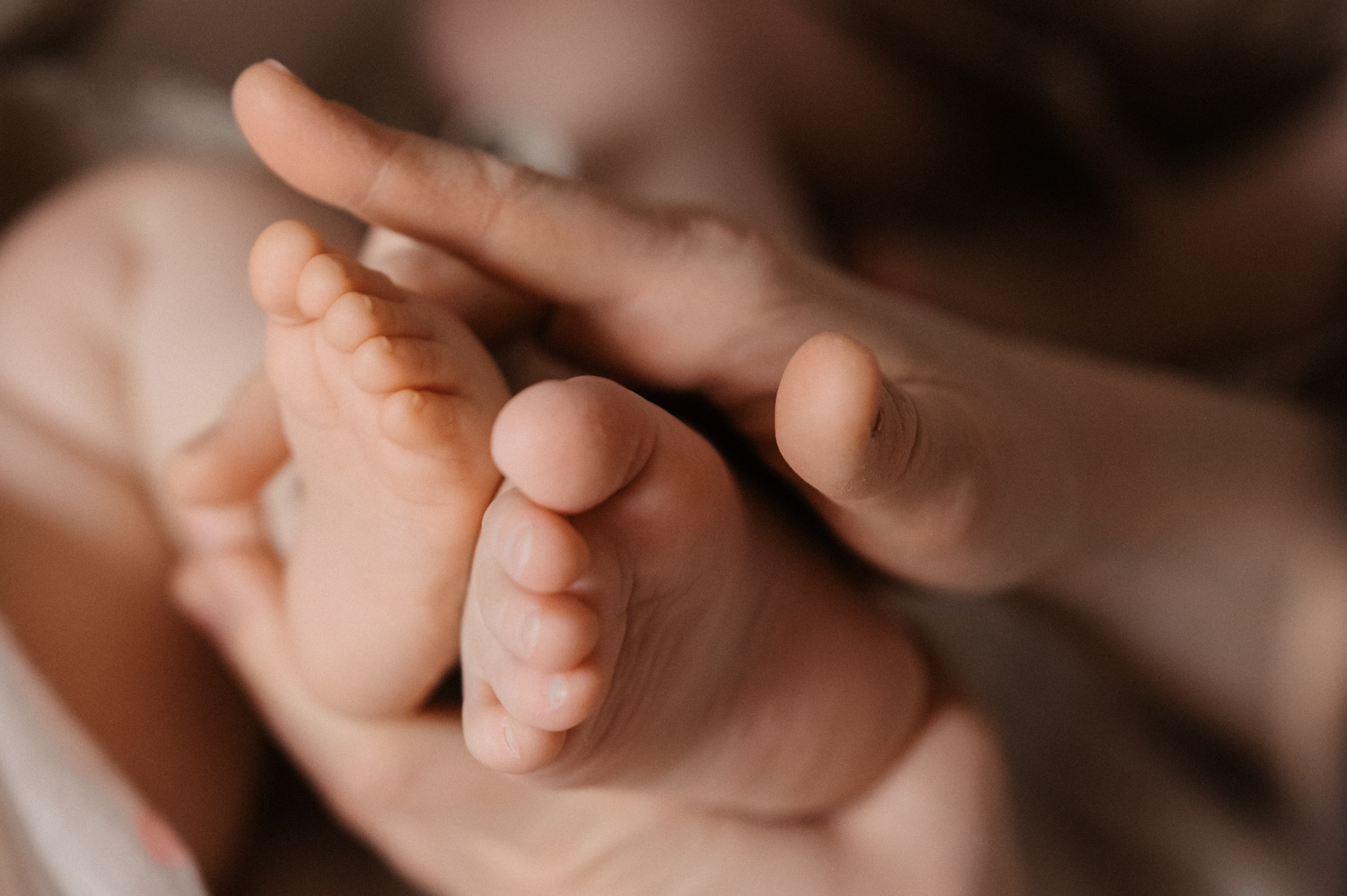 3+1. Фотограф Ким Ангелина