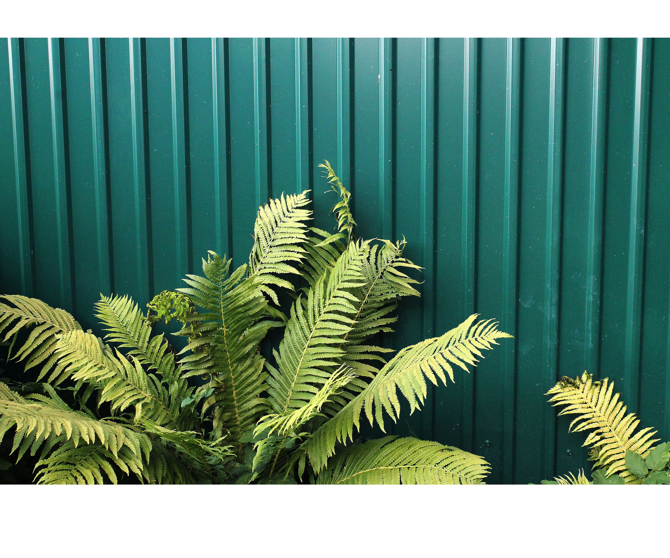 Мои первые работы. Фотограф из Москвы — DASHA NOVA | Авторская фотография в разных жанрах