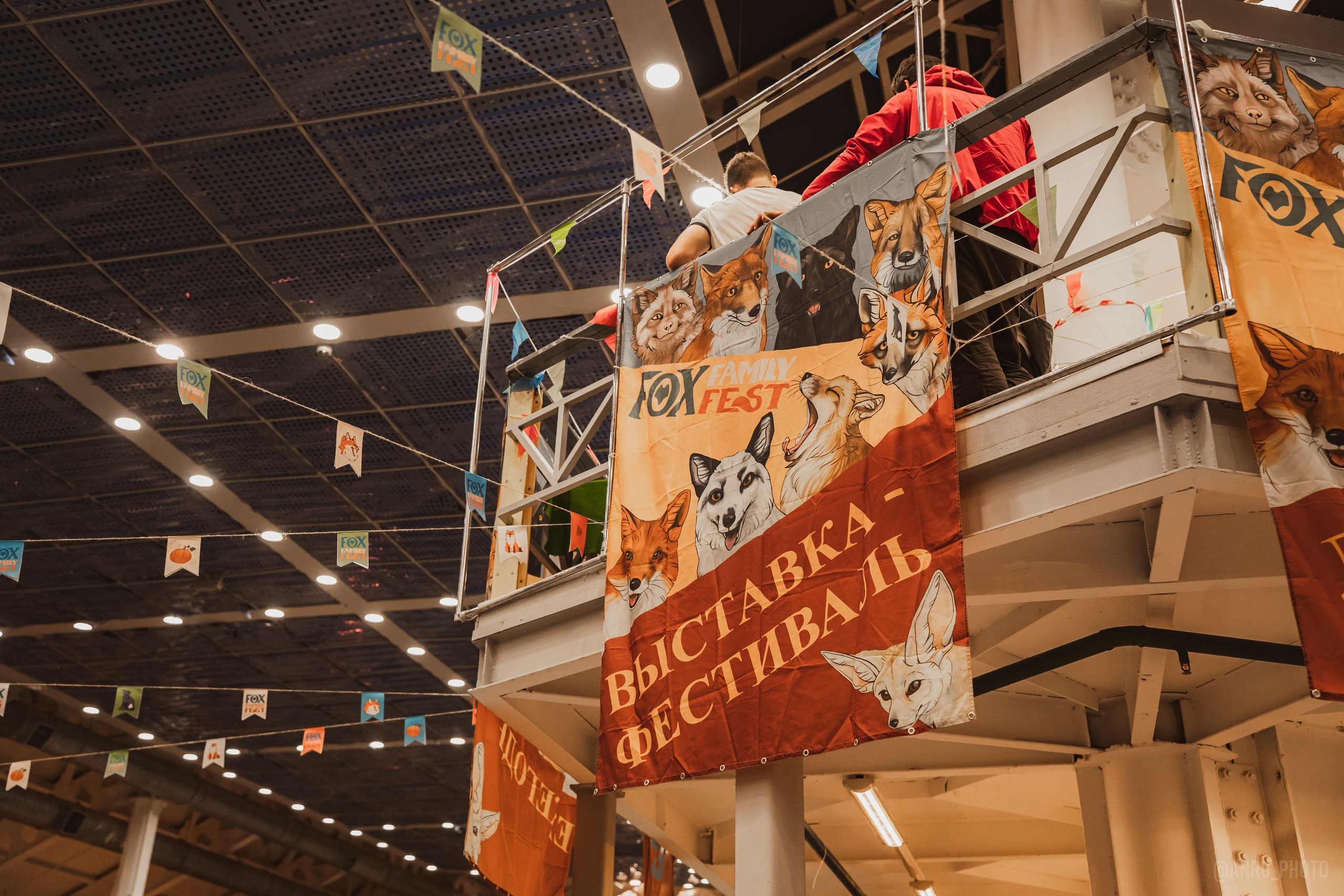Fox Family fest. Репортажный фотограф Анастасия Рубцова