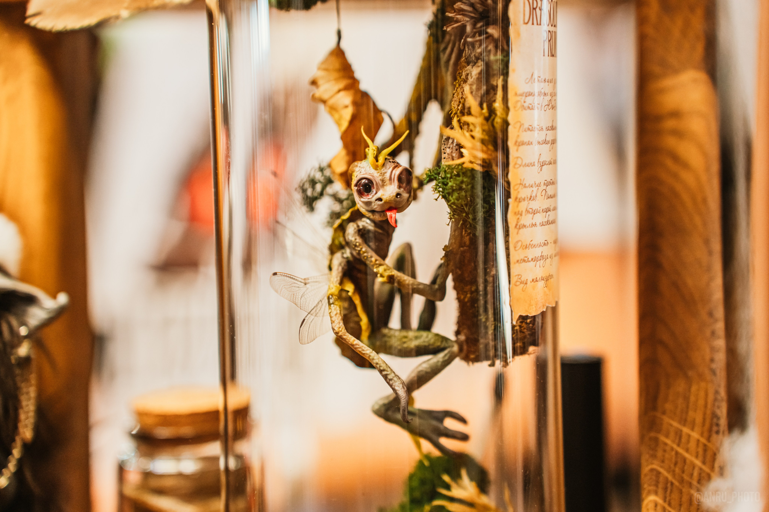 Рептилиум (ручная работа). Репортажный фотограф Анастасия Рубцова