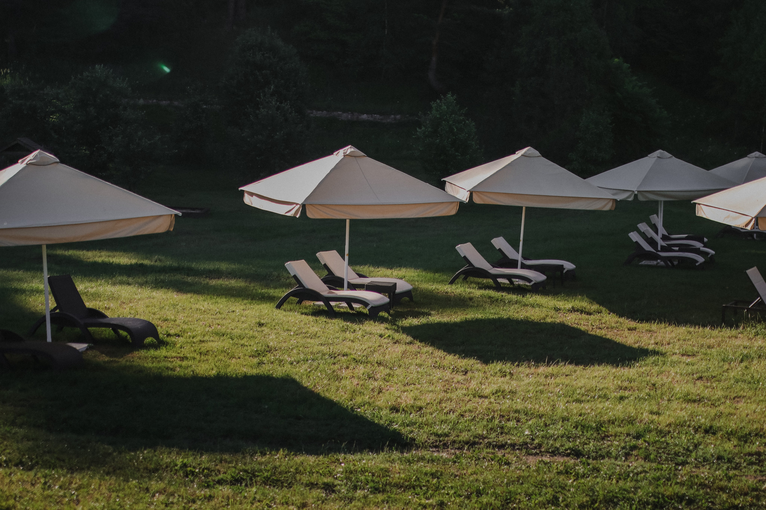 В сердце леса | Дарья и Сергей. Оксана Чистова свадебный фотограф | Москва и Питер