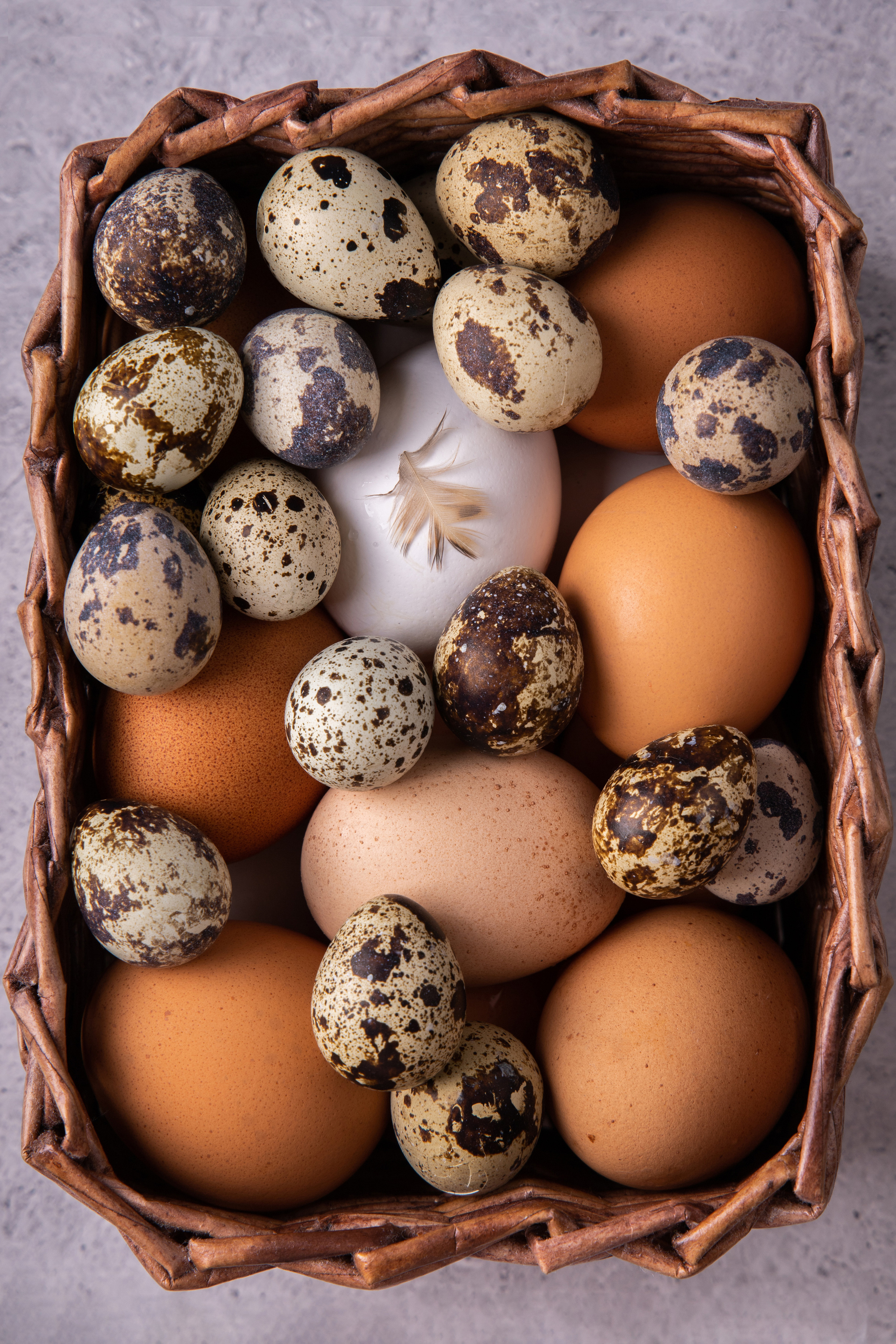 Смотреть альбом. Предметный фотограф/ретушер Анна Рябова Санкт-Петербург