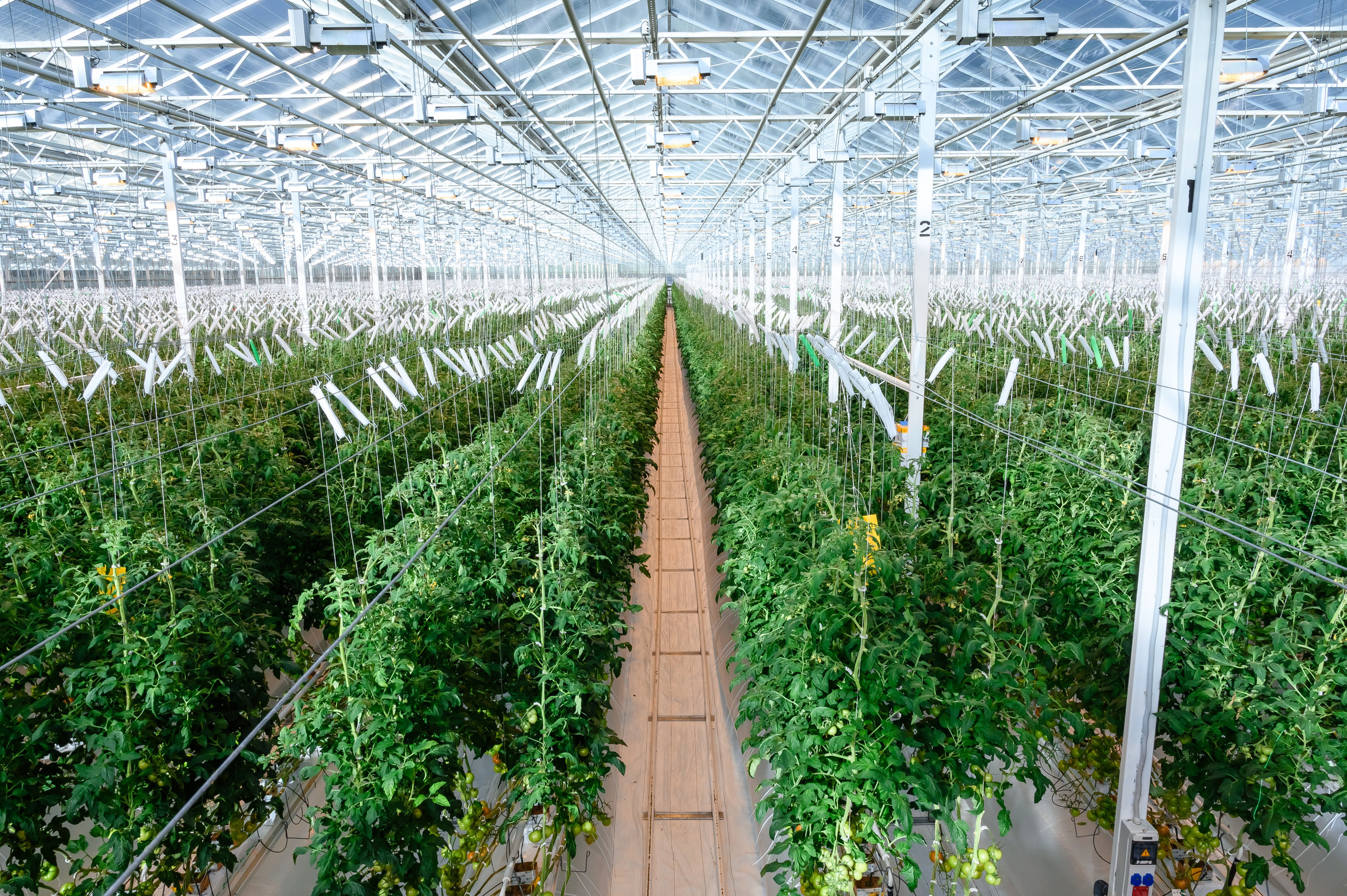 Тепличный комплекс «ПЕРМСКИЙ»