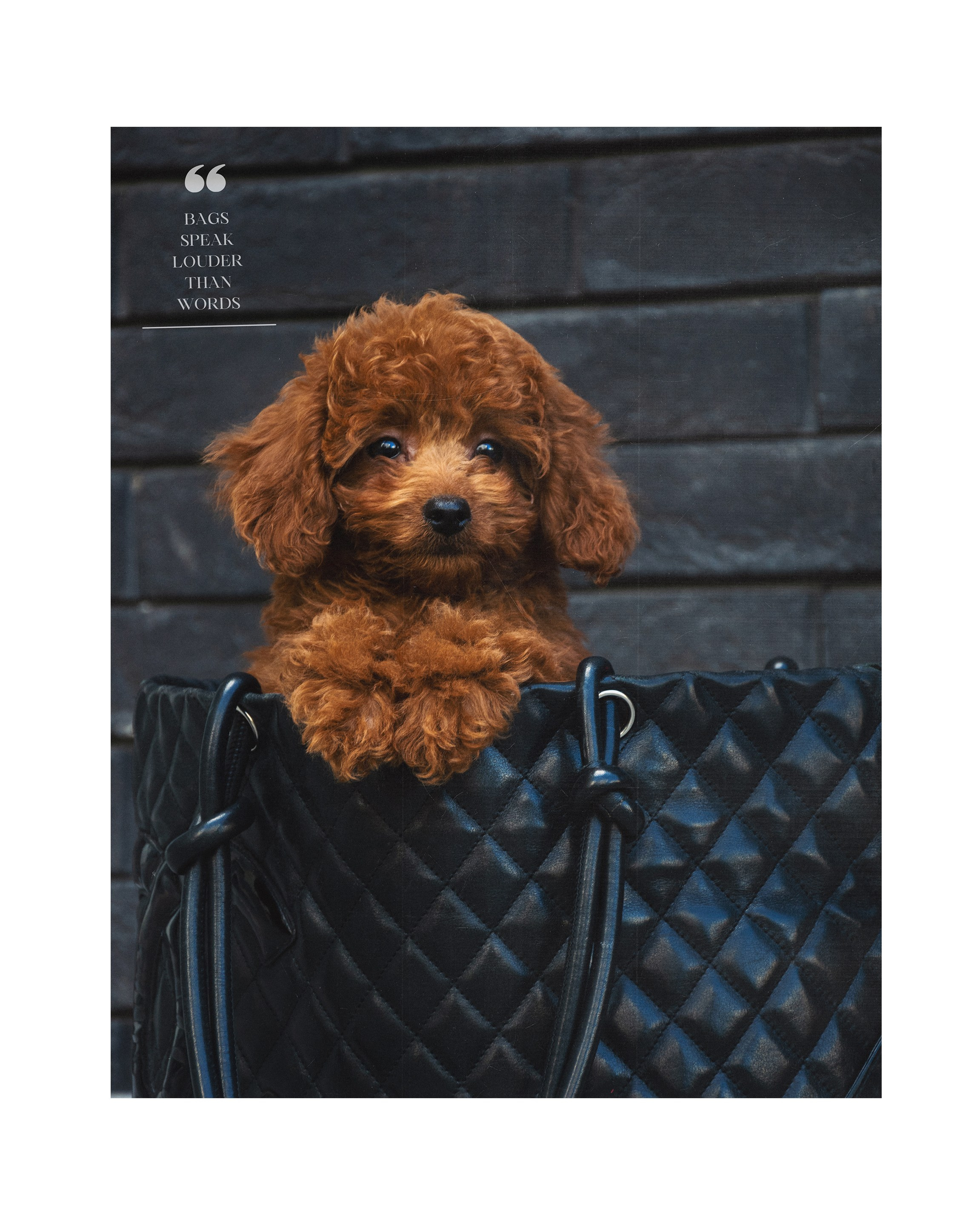 ФОТОСЕССИЯ ЩЕНКОВ. Будуарный фотограф Kris Murr|Москва|Съемки FASHION|BOUDOIR|NUDE