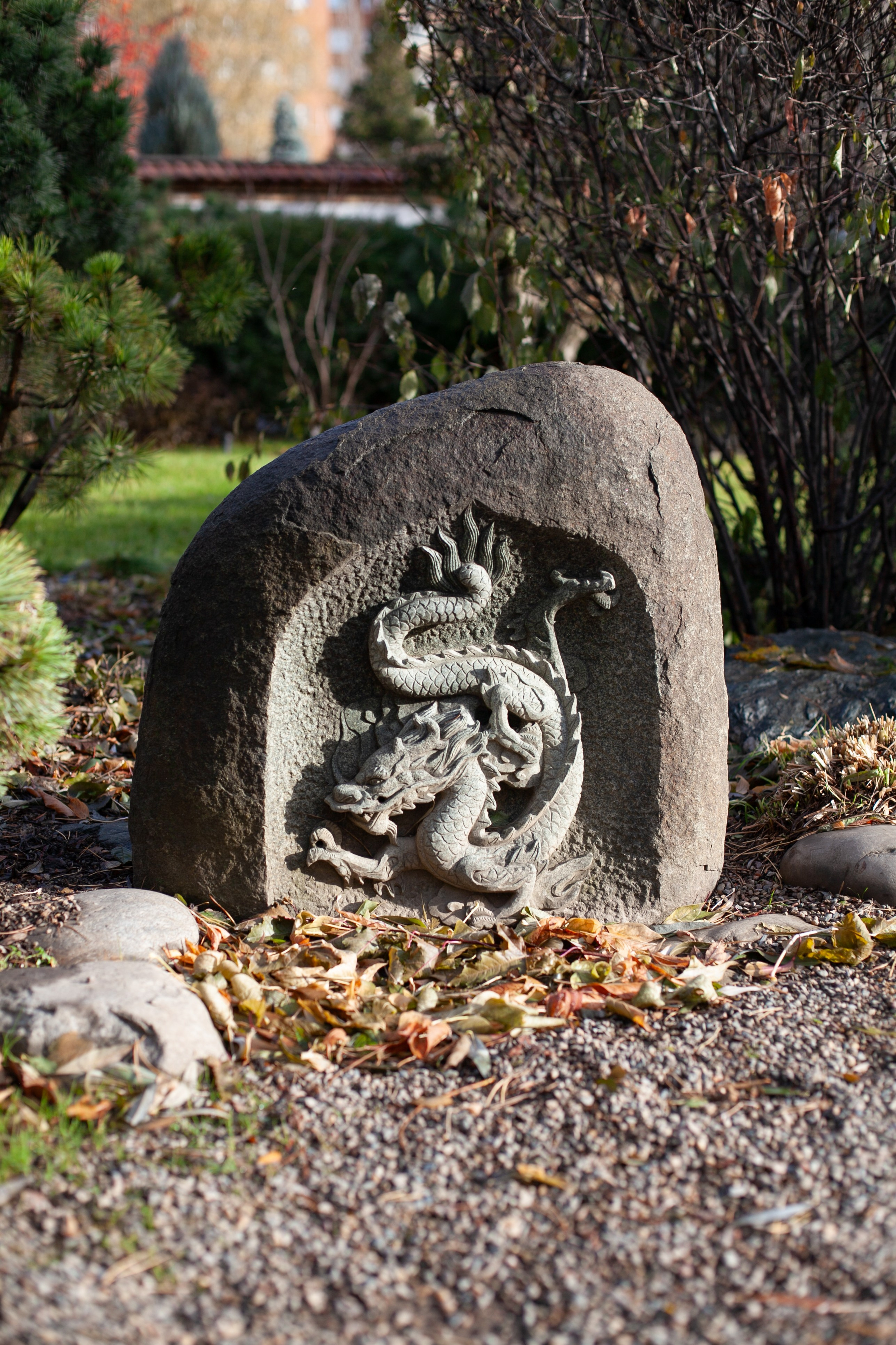 Сады Мечты. Контент для сайта. Фотограф Дарья Локотко в Красноярске