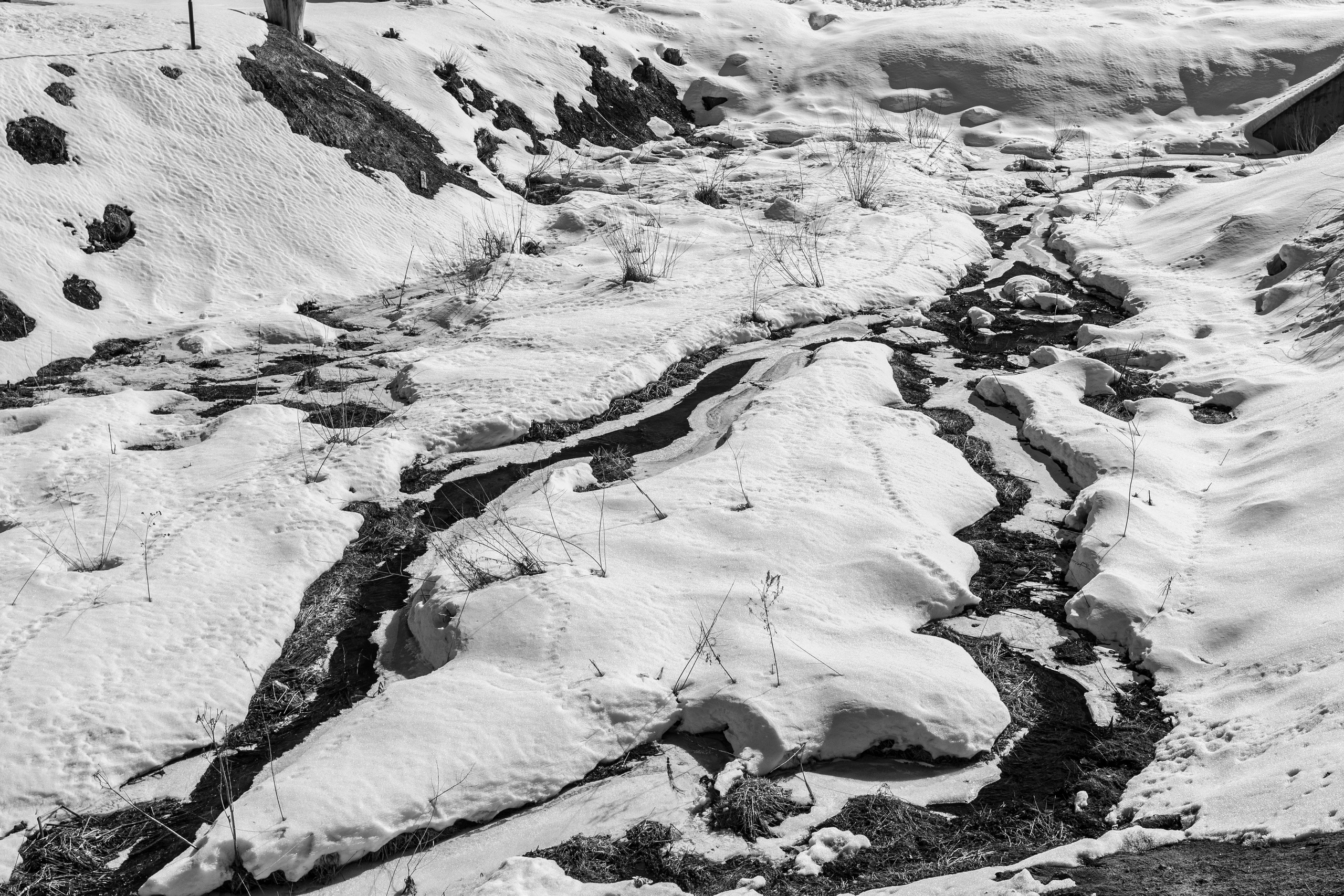 Travel-съемка в поездке в Сергиев Посад. Фотография. Юрий Савин