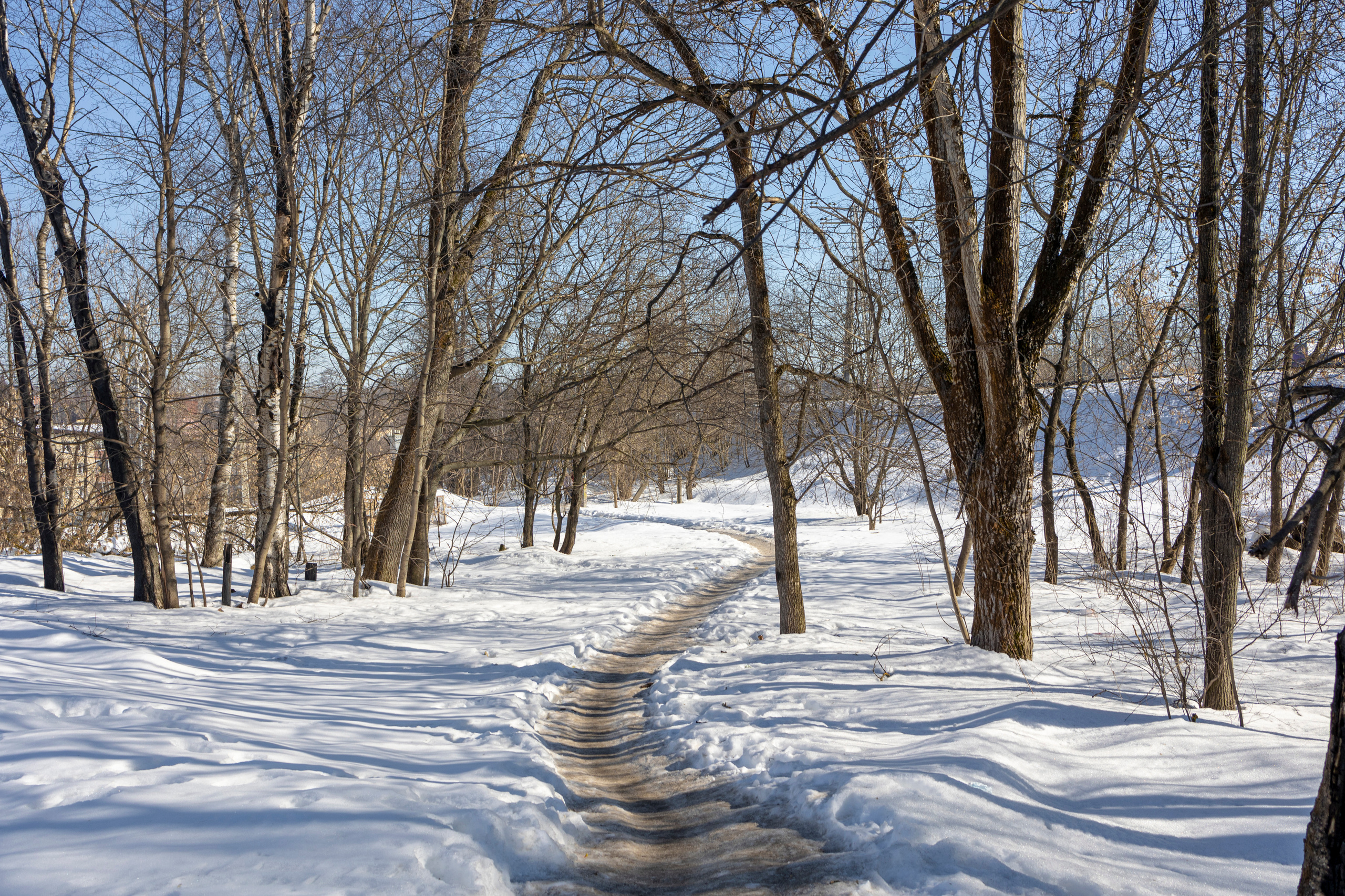 Travel-съемка в поездке в Сергиев Посад. Фотография. Юрий Савин