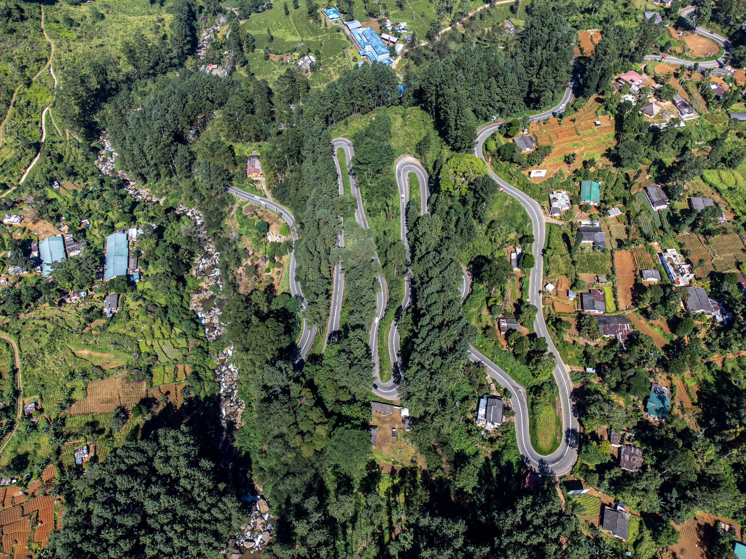 Фотография. Юрий Савин