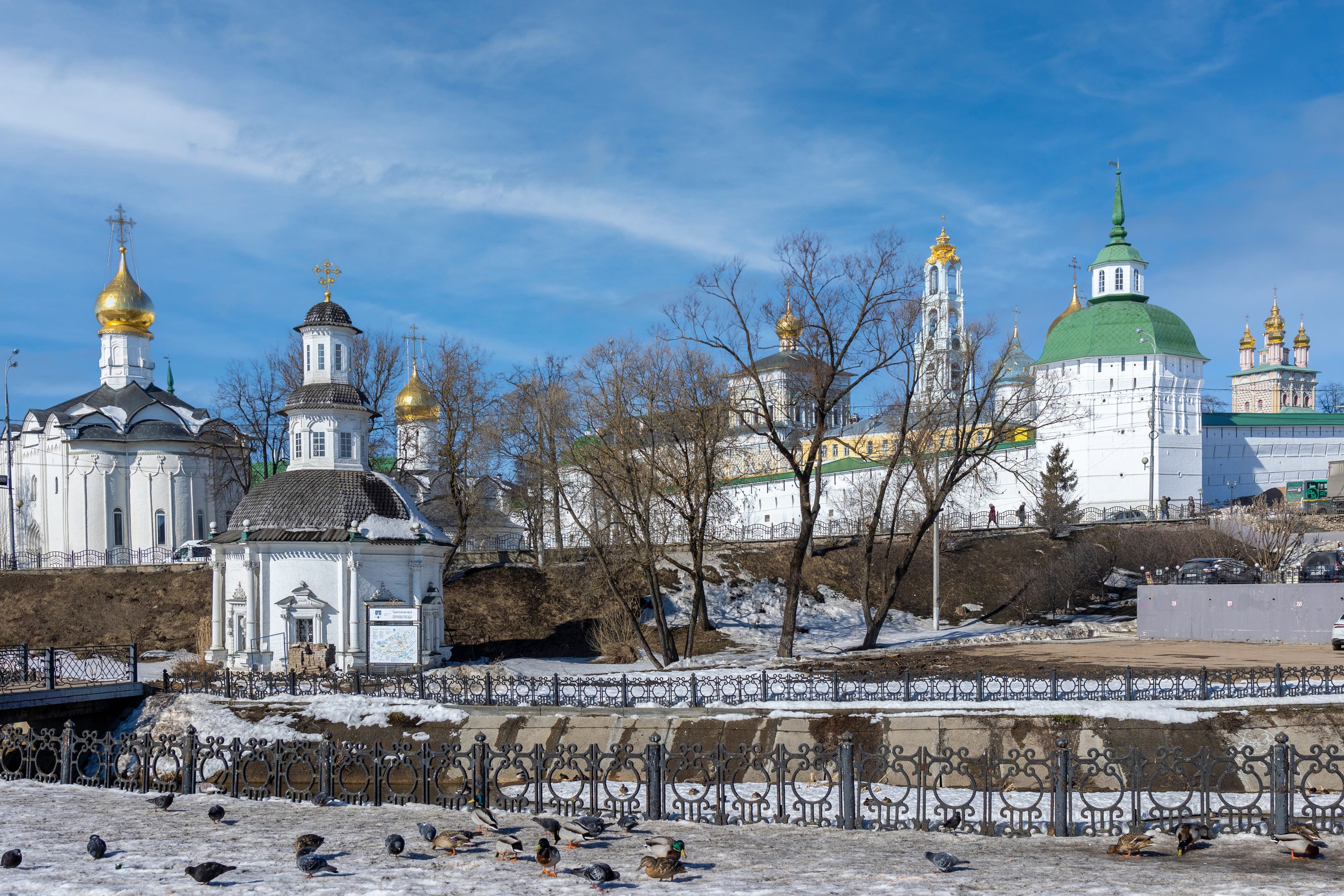 Фотография. Юрий Савин