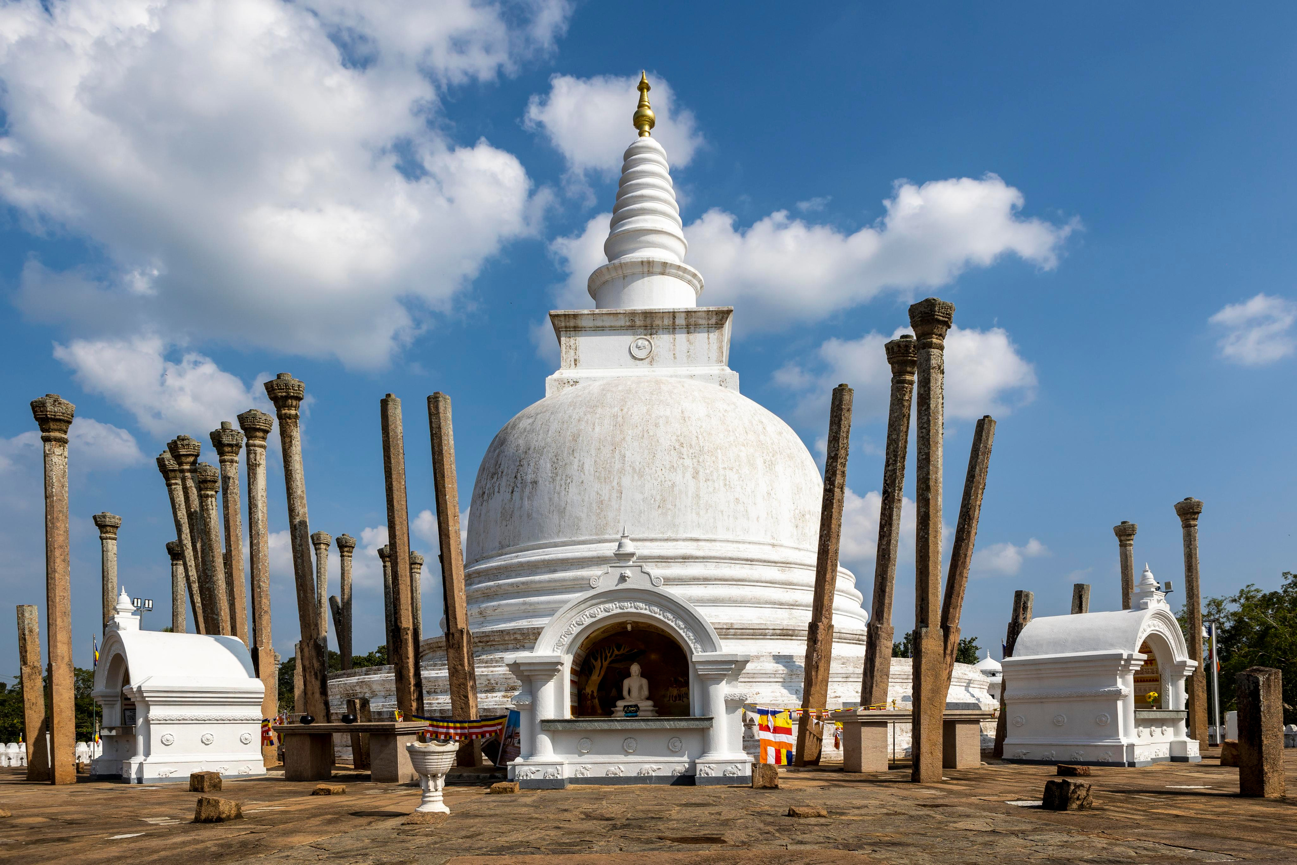 Фотография. Юрий Савин