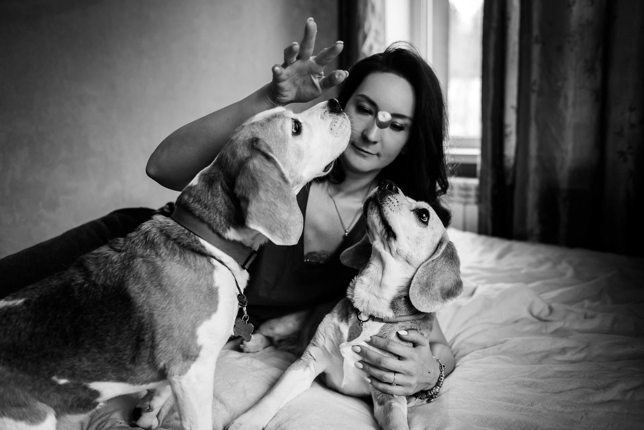 Оля, бигли и семья. Семейный Фотограф в Москве Ирина Хохлова