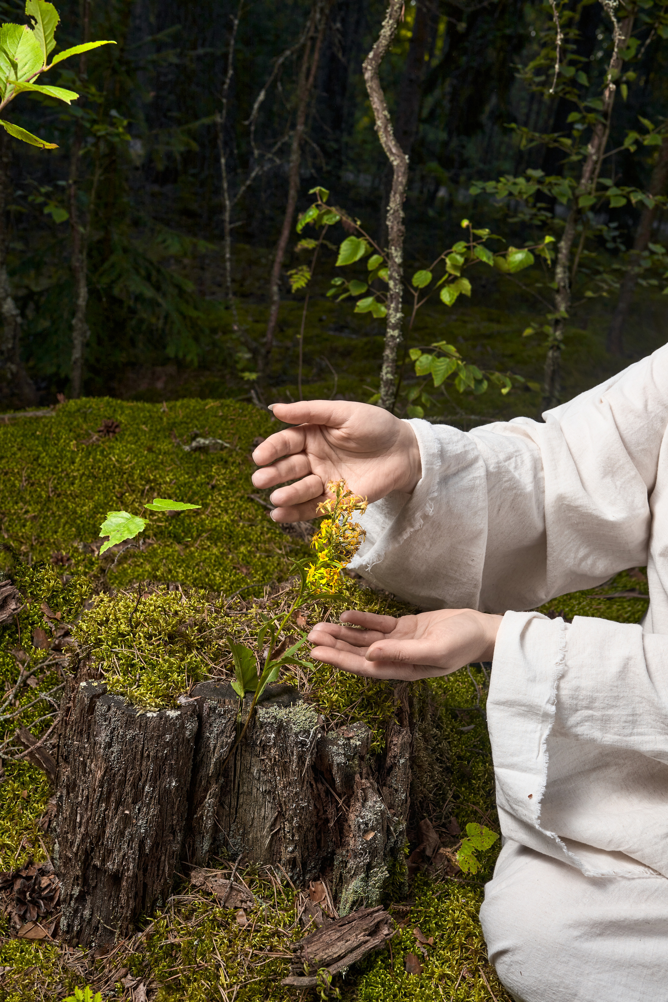 Alex & Lera (тематические фотосессии)  >>>. Фотограф в Санкт-Петербурге Irina Ivi