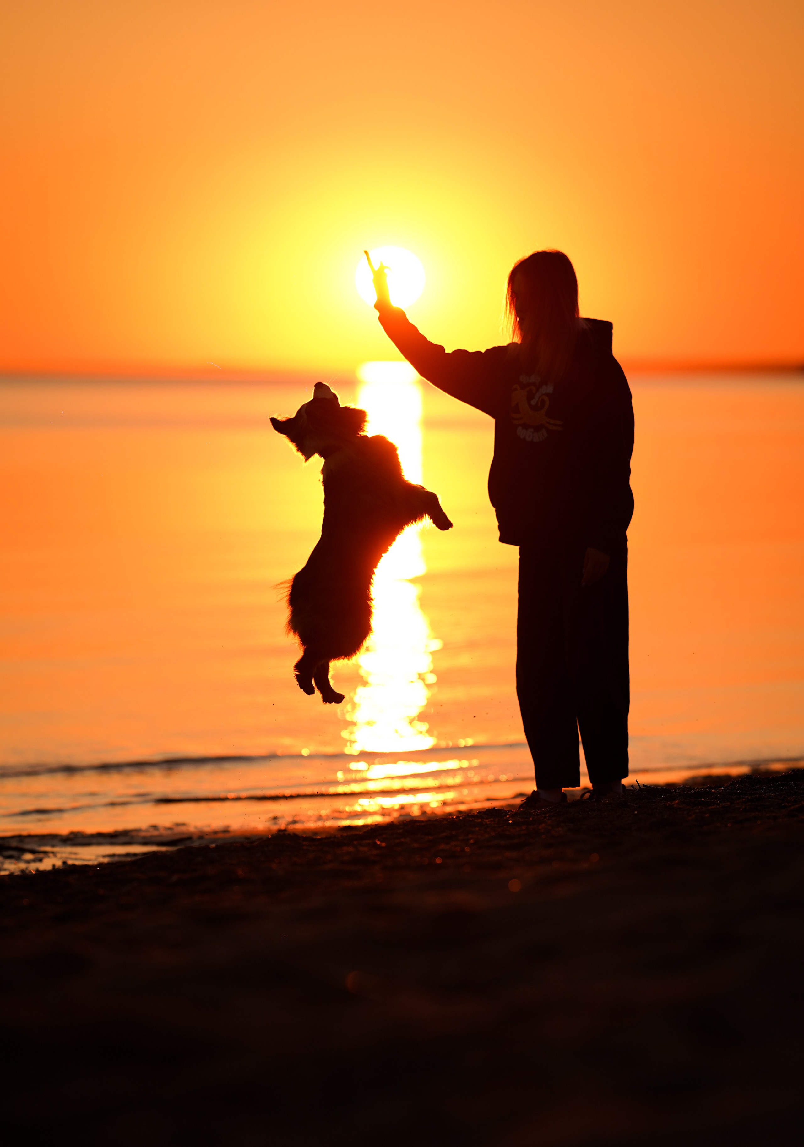 Алиса и Джокер. Фотограф-анималист в Санкт-Петербурге Яна Мартынова
