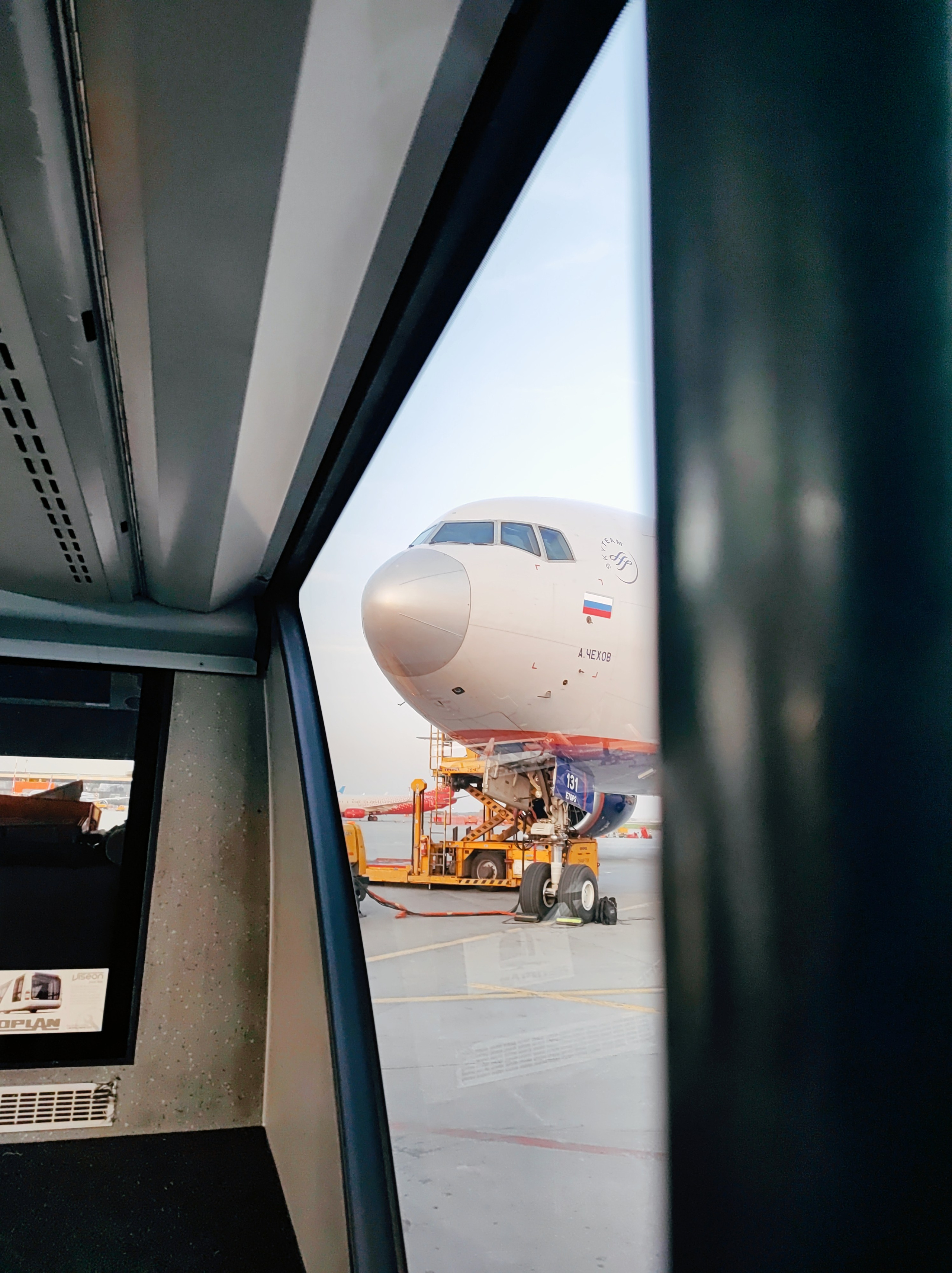 Намобилкус китайский. Репортажный фотограф Алексей Пирязев