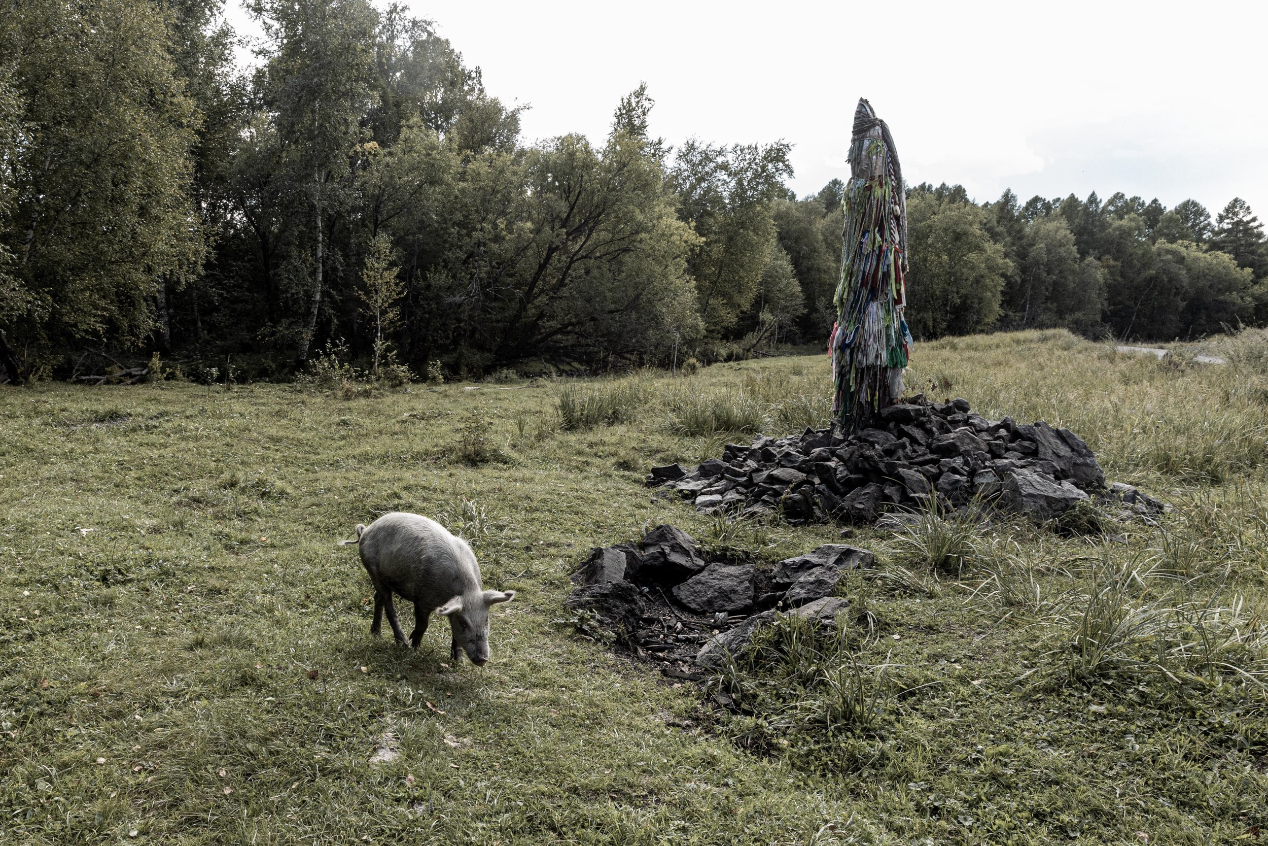 Земля пяти стихий. Yulia Nevskaya, documentary photographer and photojournalist