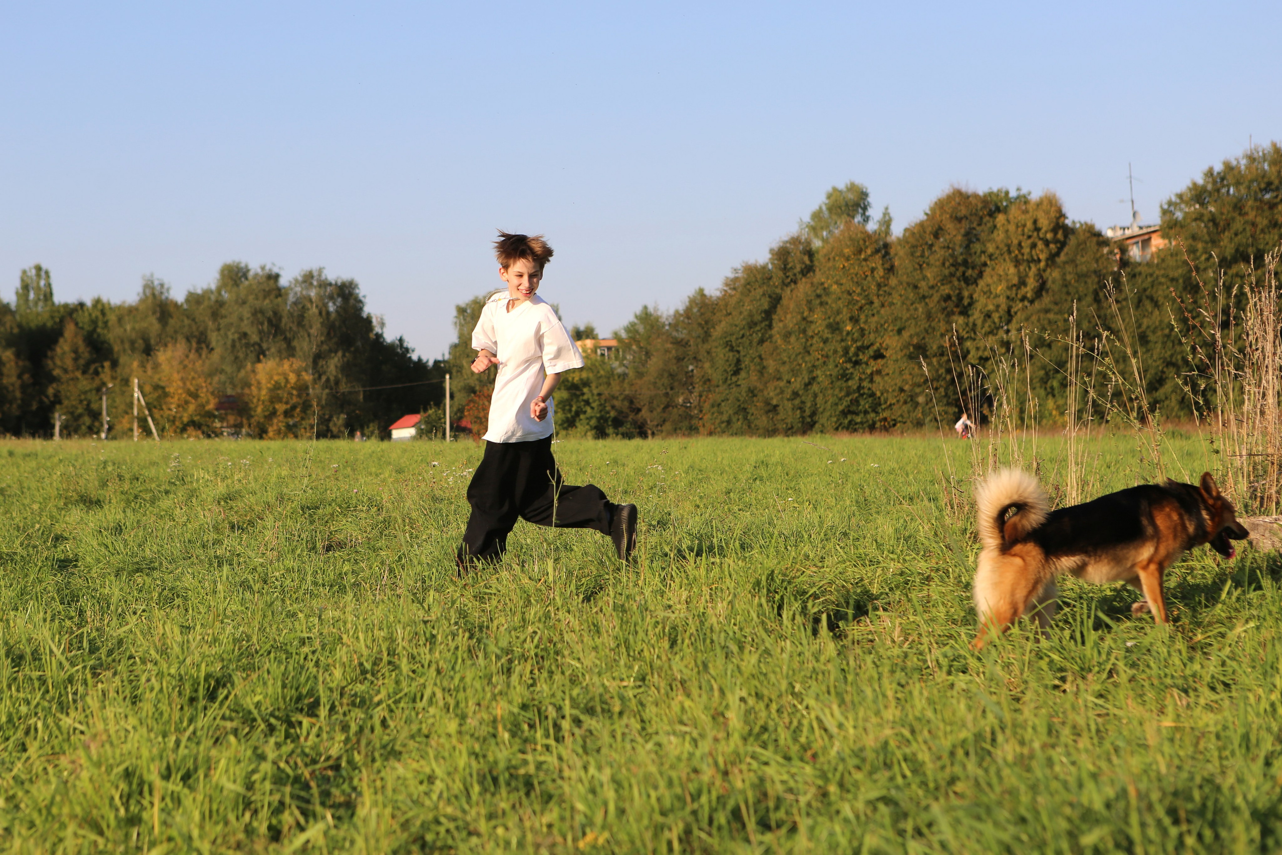 мальчик играет с собакой