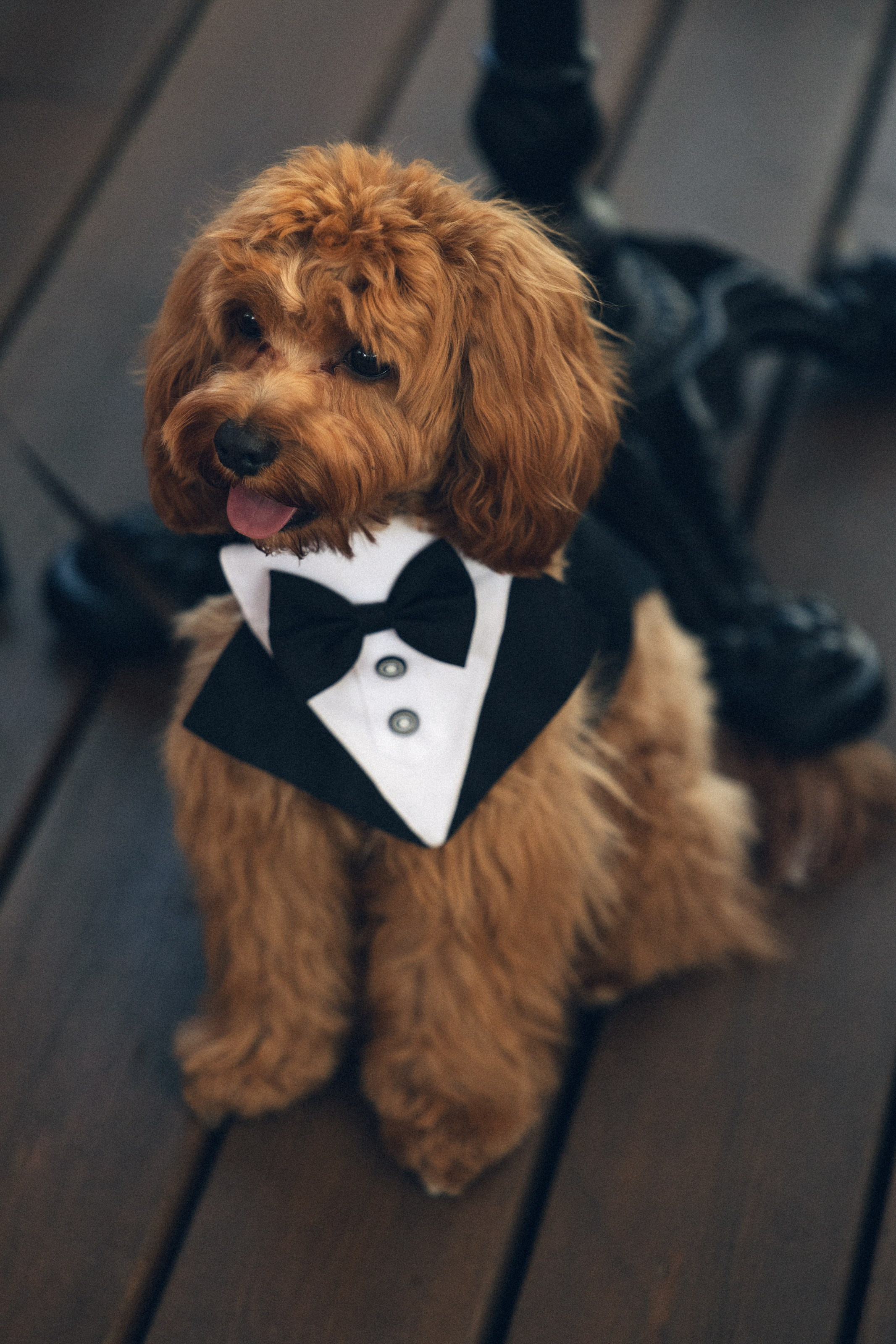 Влад и Ева. Свадебный фотограф в Ростове — на — Дону Александра Пивоварова