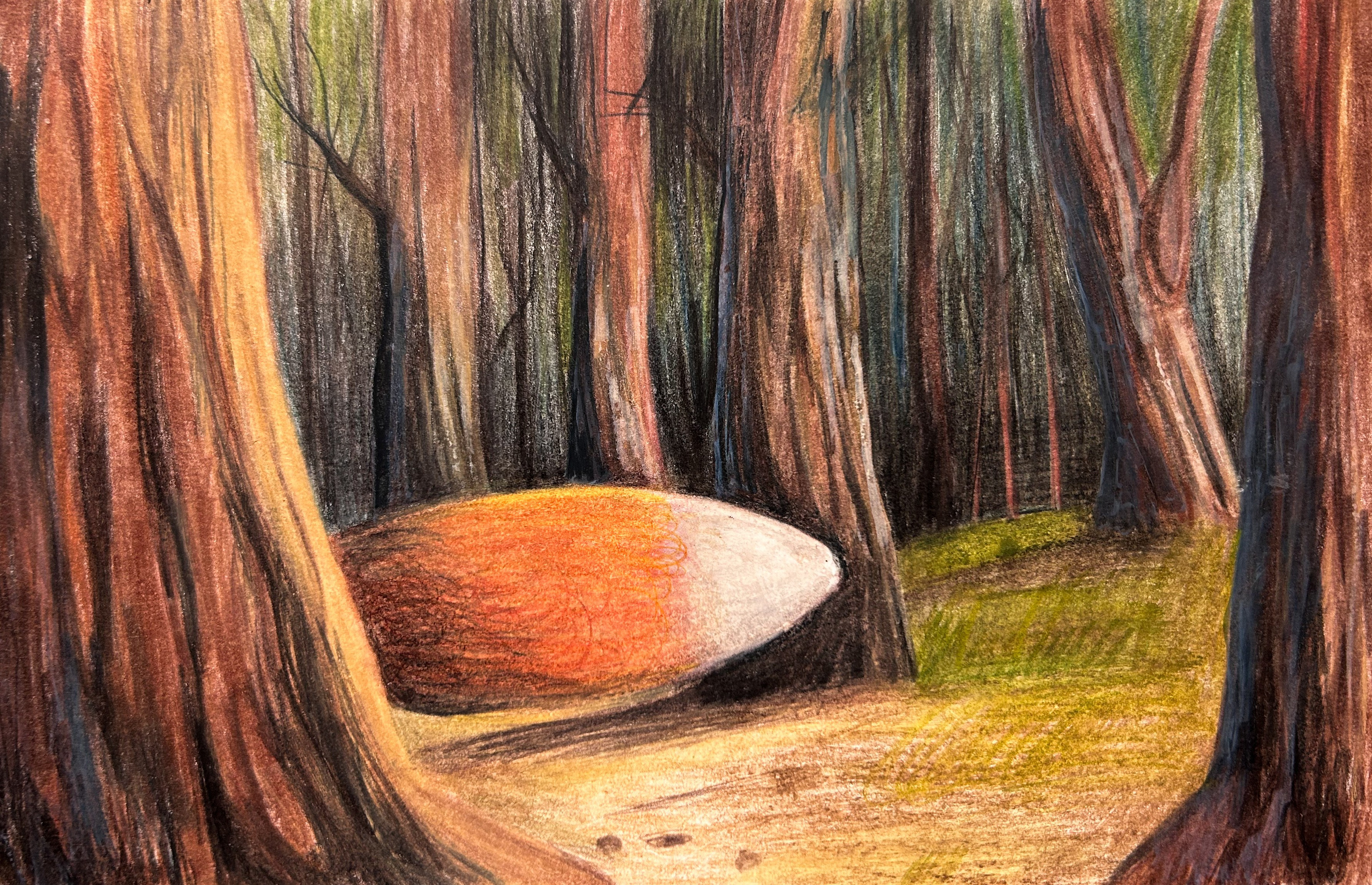 Художник Елена Безрукова