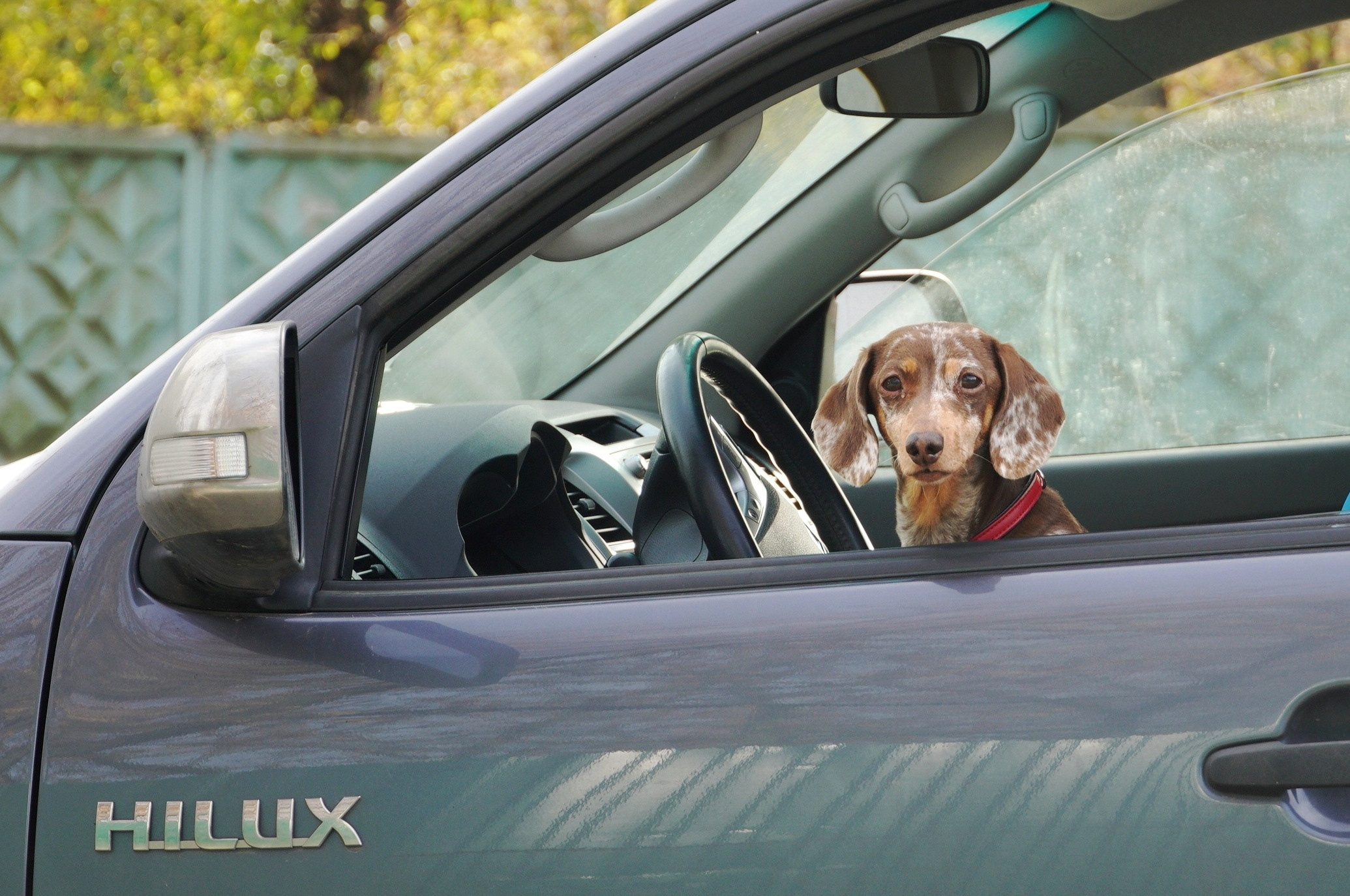 Стрит-съемка в Москве. Интерьерный и архитектурный фотограф в Москве Панова Ольга