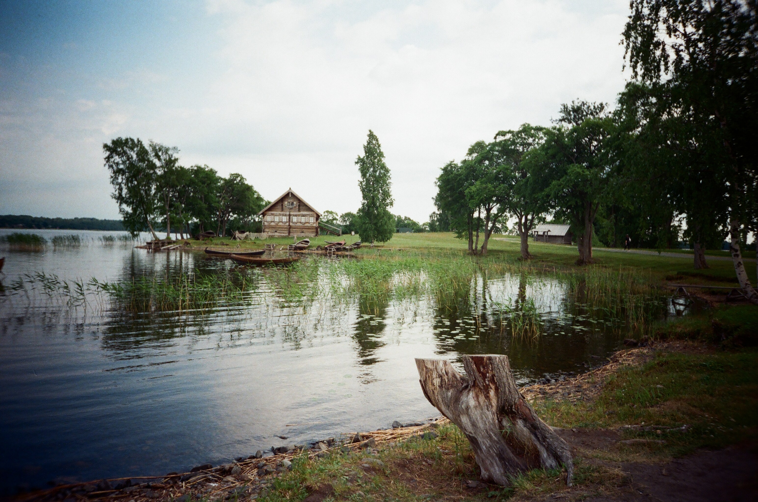Summertime. ELINA VLADI