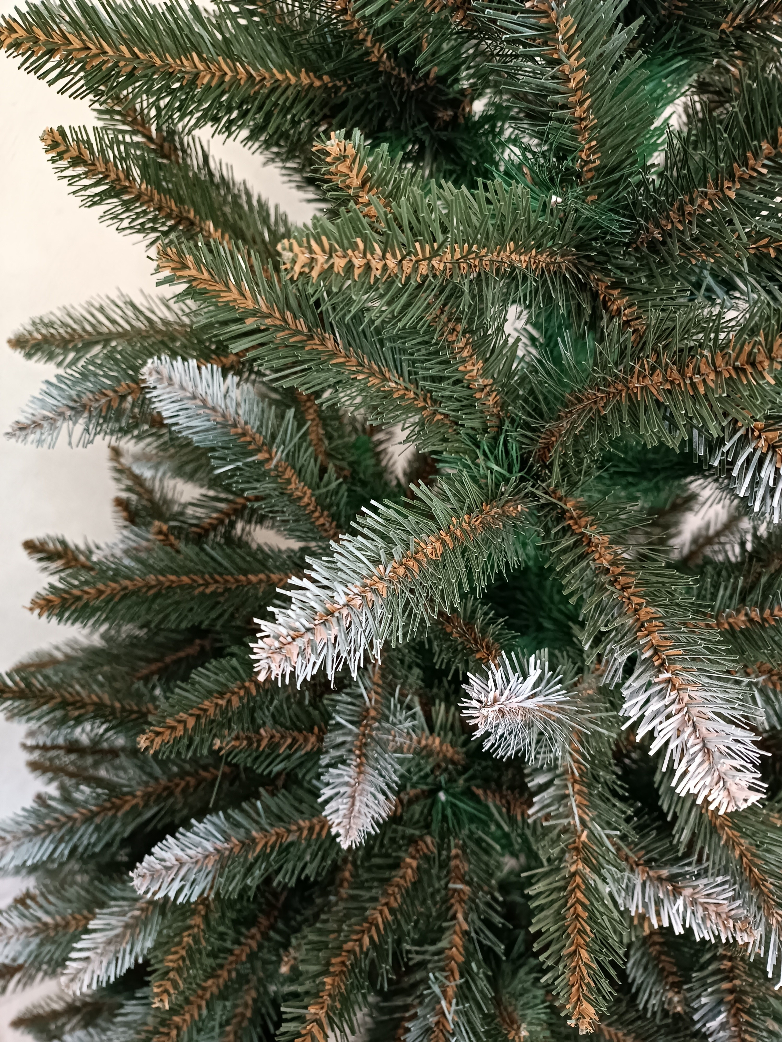 БЕАТРИС. Elki_grodno